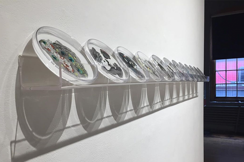  Installation view of  Spawn , 2020, at the Red Head Gallery. 