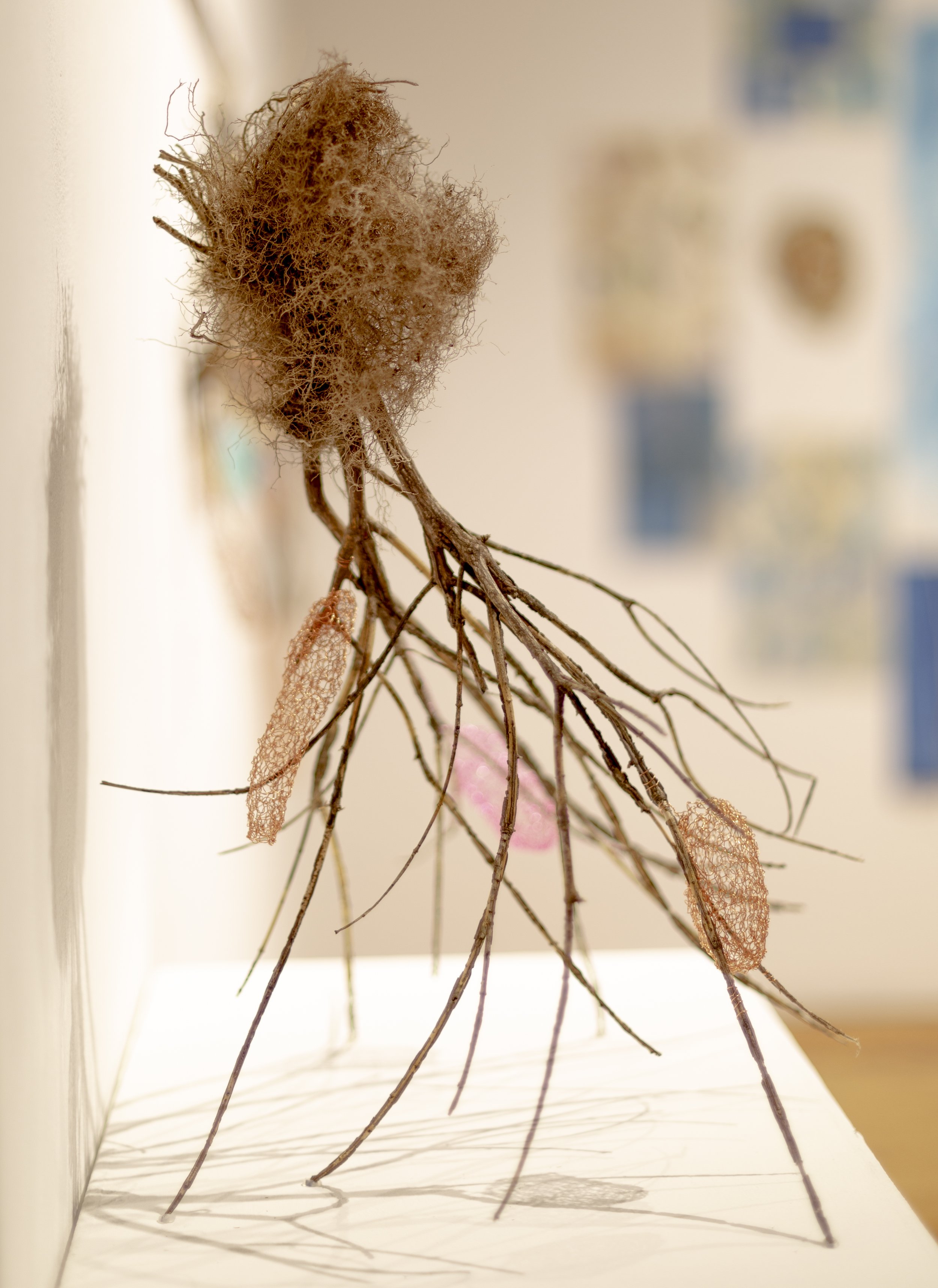  Detail shot of UpRooted.  Photo my Martine Côté, 2022.  