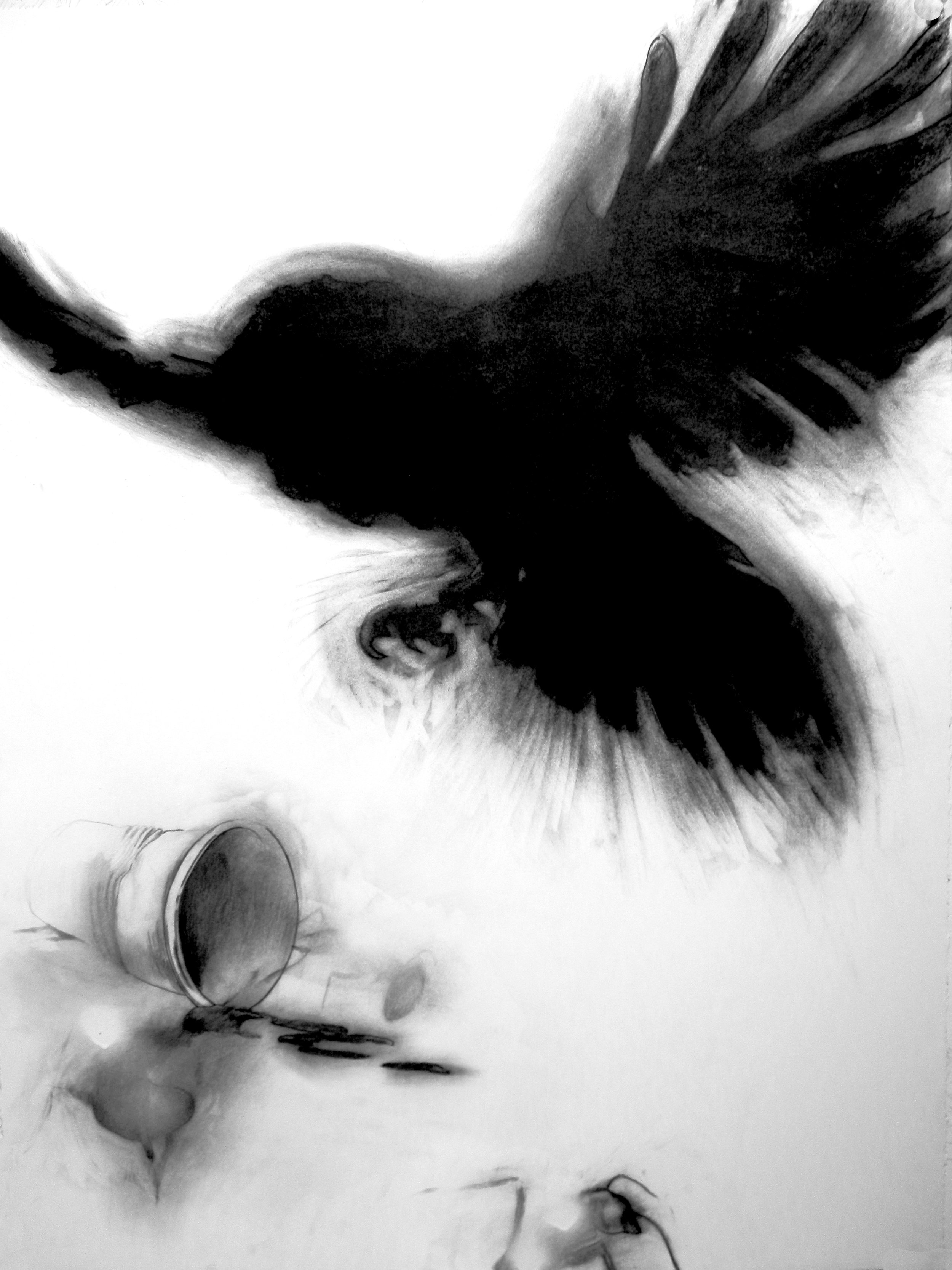 Crow 5 tweaked.jpg