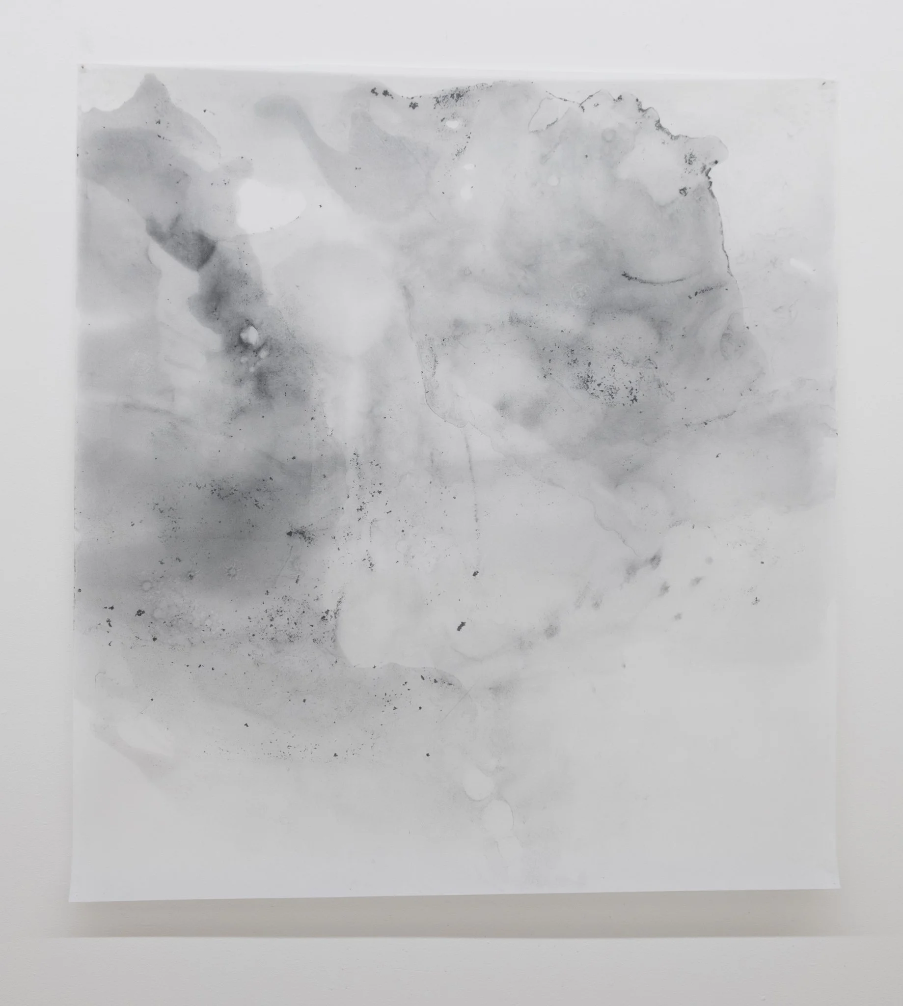 Sarah Kernohan - Tidal Flooding.jpg