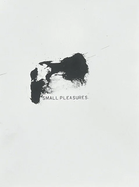 Stitches-small pleasures.jpeg
