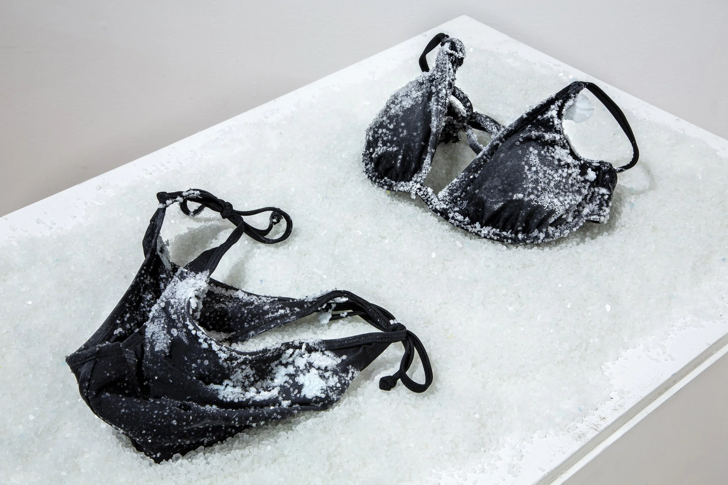 Elaine-Whittaker _Ode to the Last Bikini_01 - Elaine Whittaker.jpg