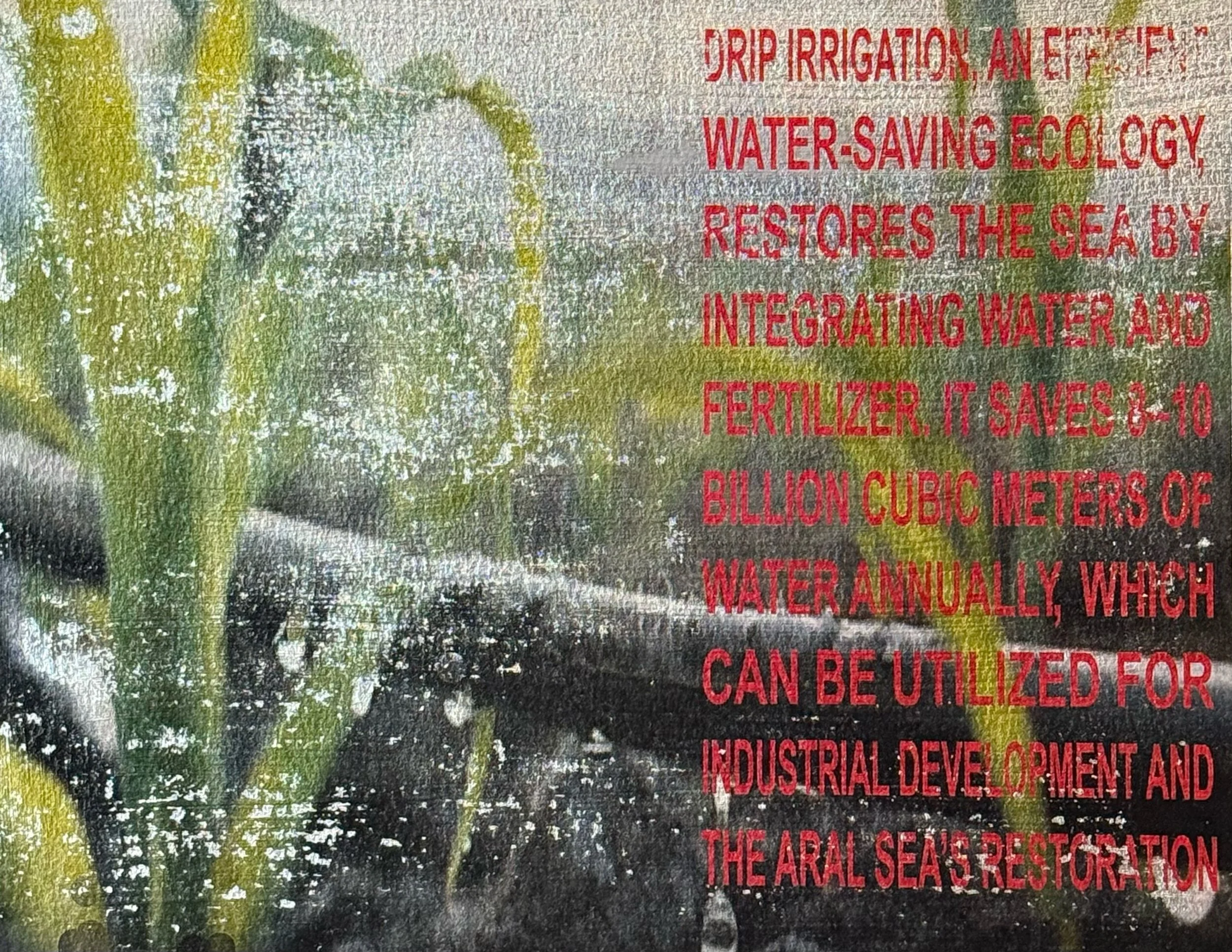Amin - Drip irrigation.jpeg