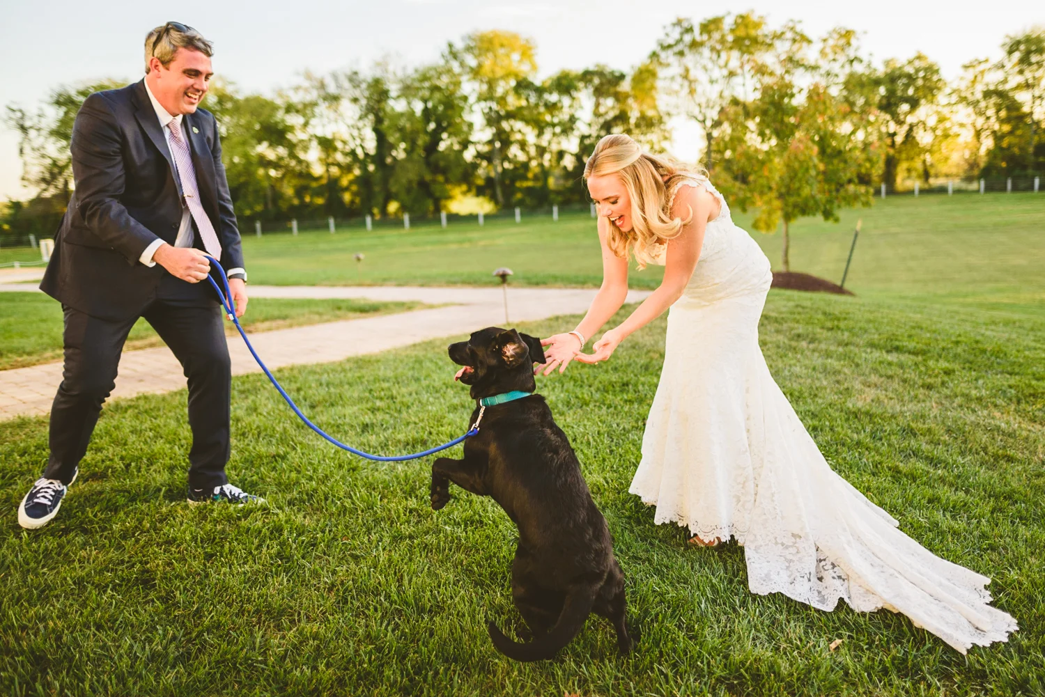 012 - bride and groom's dog jumps around playfully.jpg