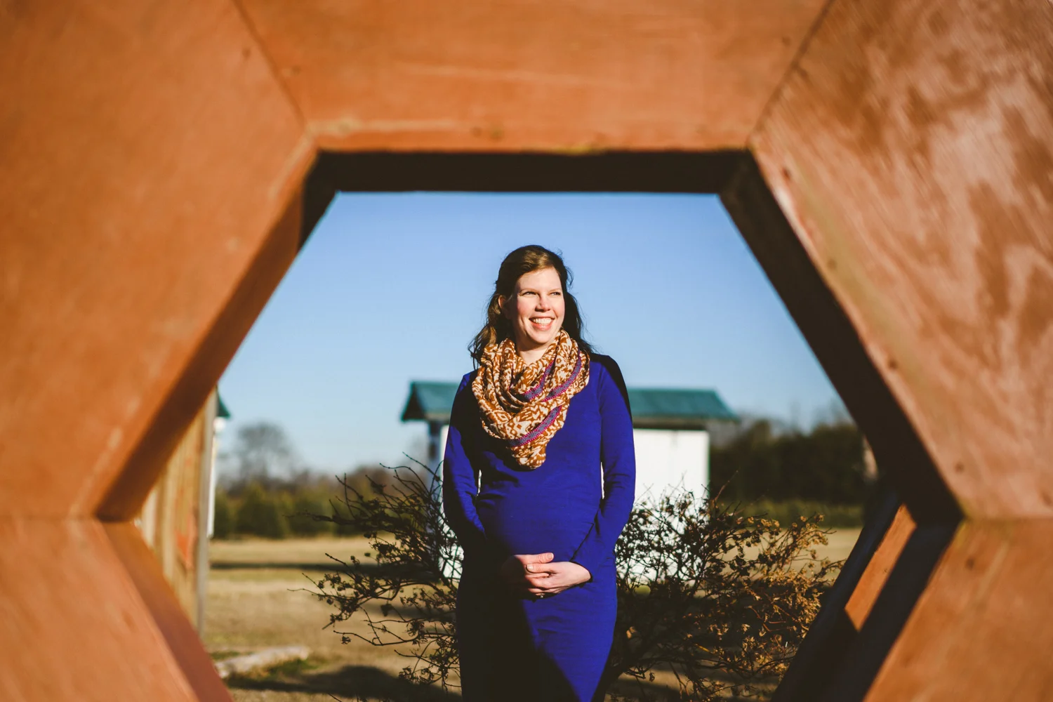 006 - creative maternity session portrait in virginia.jpg