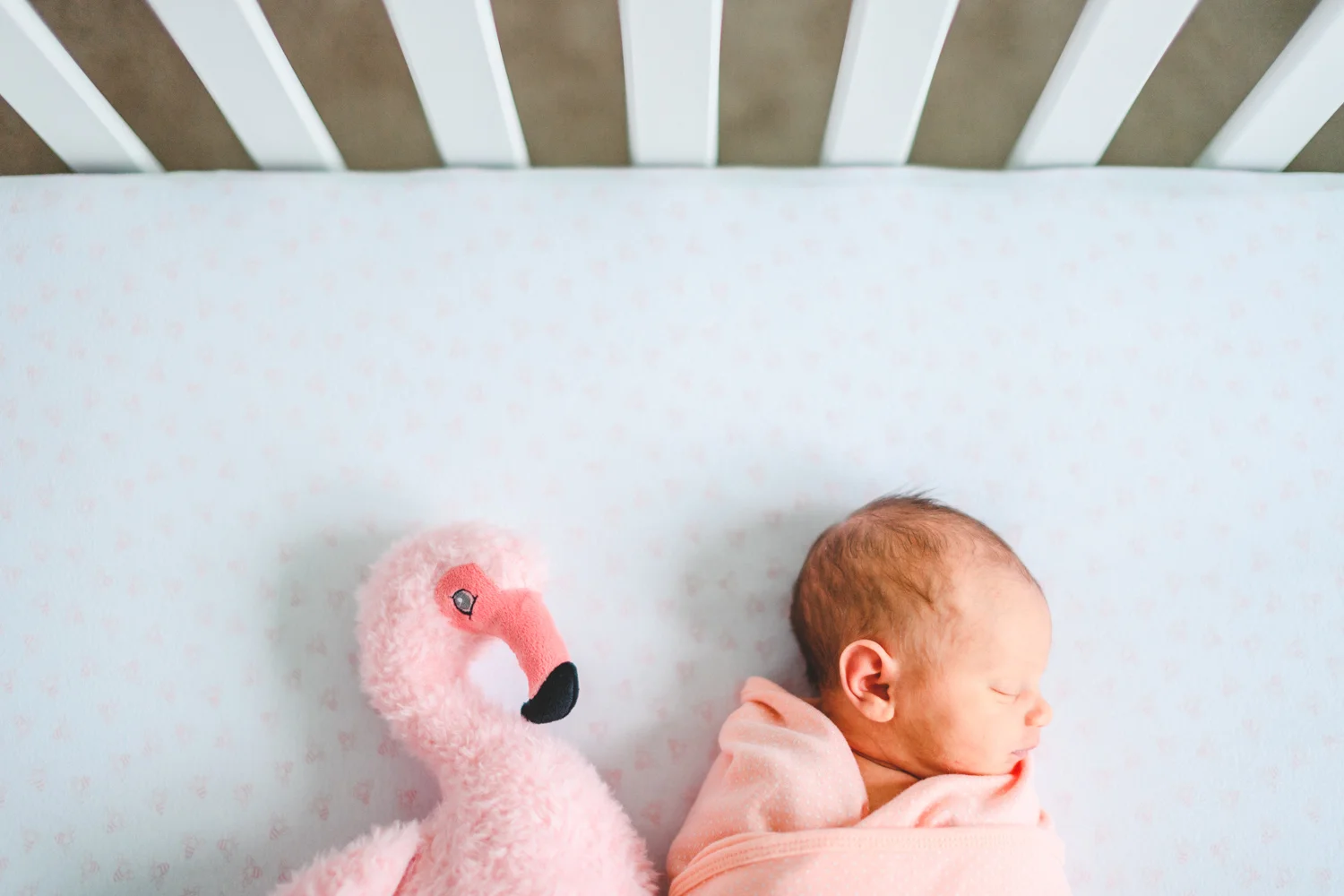 030 - newborn session with pink flamingo.jpg