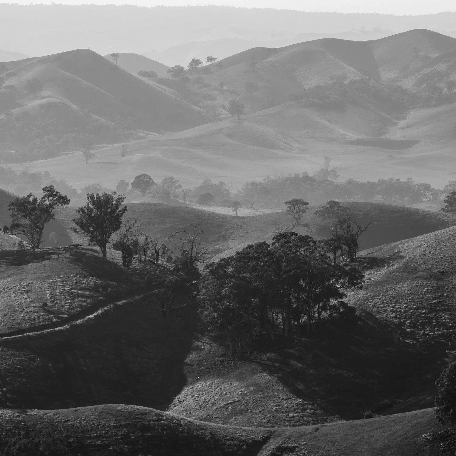 XESB2445.jpg