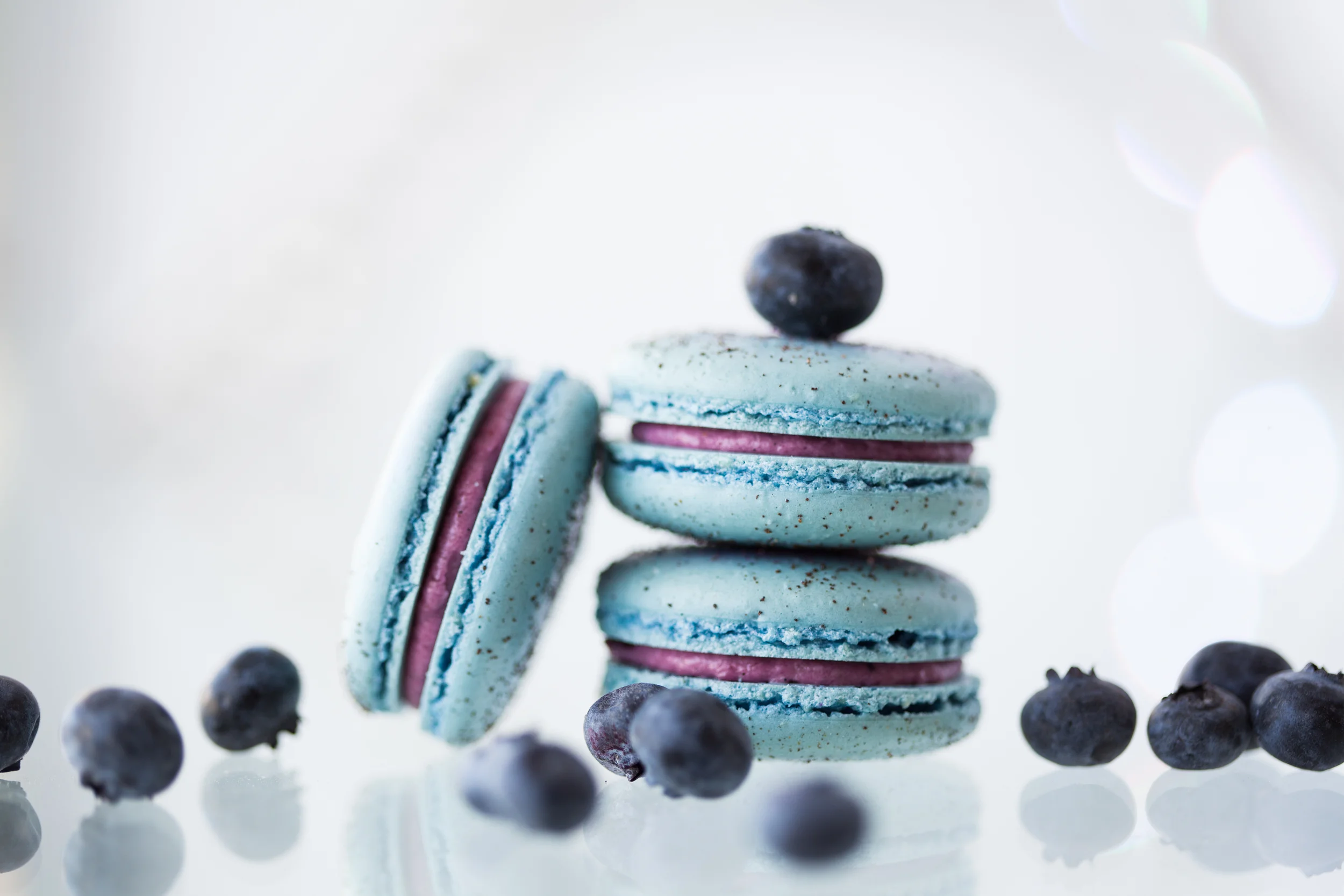 Blueberry Vanilla Bean