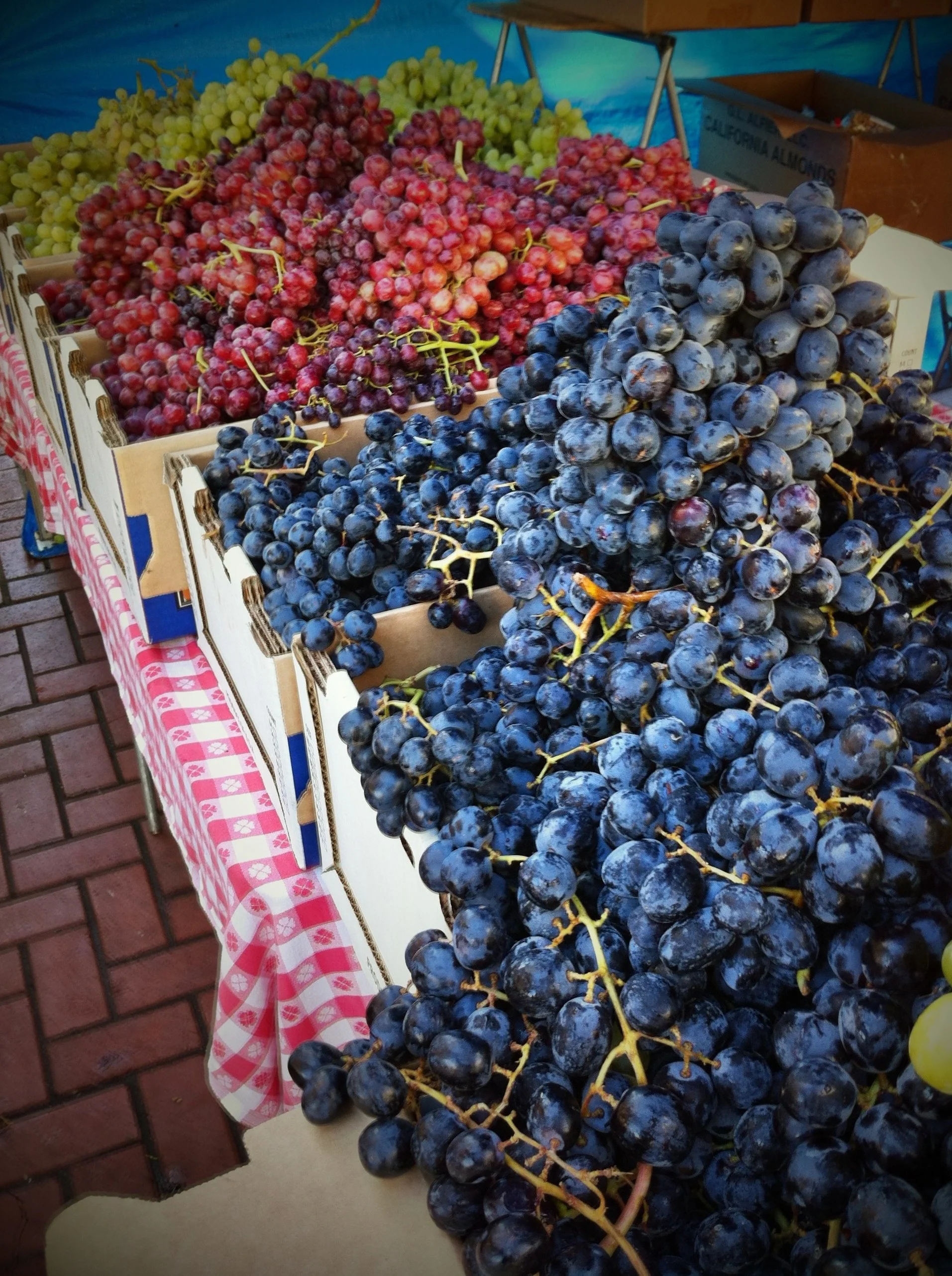 Our Farmers — Heart of the City Farmers Market