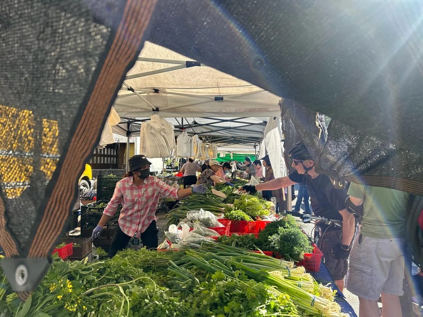 It might be hot today but our farmers are here and keeping your produce as cool and fresh as possible- so come on down and stock up!