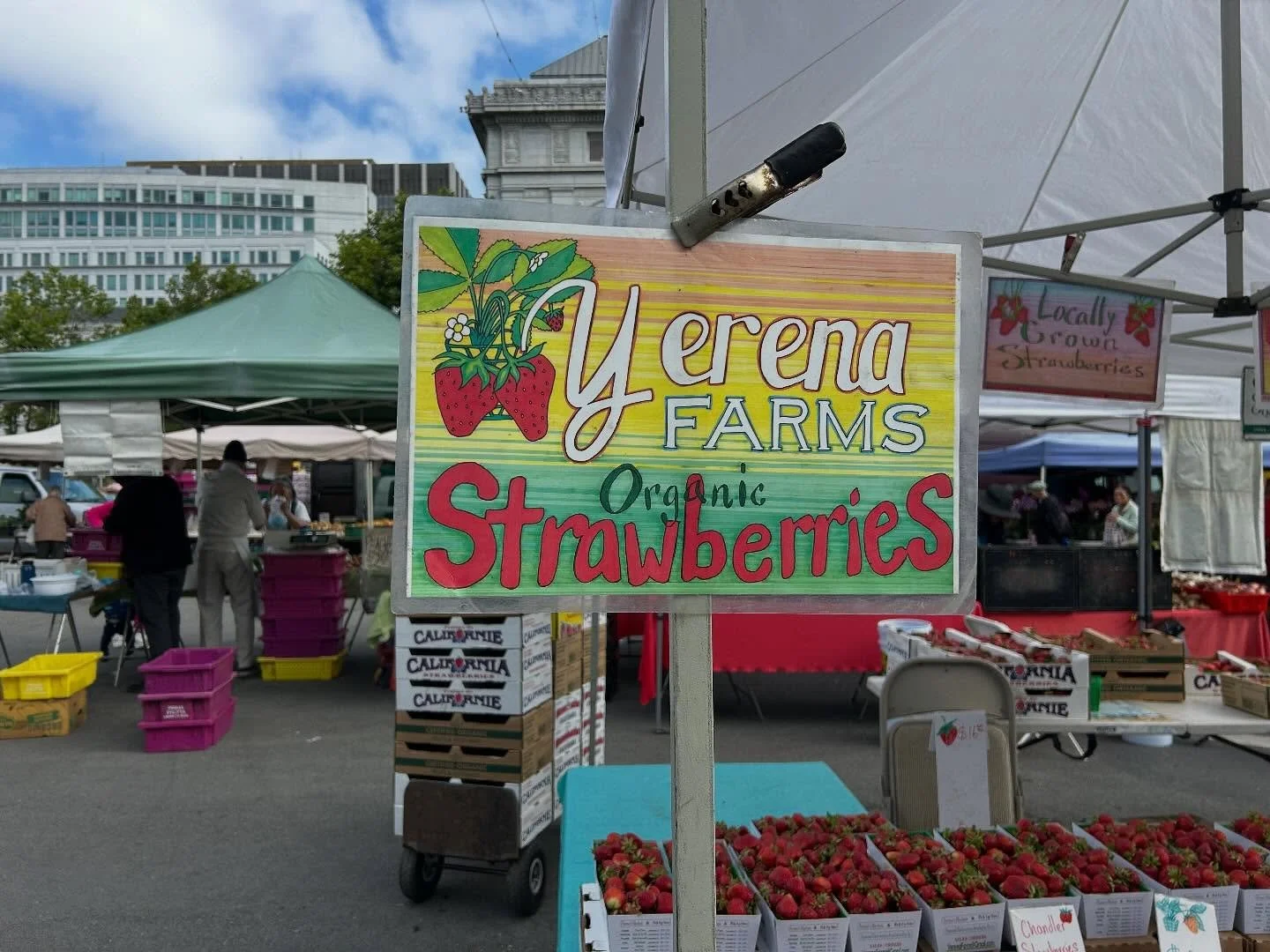 Welcome back Yerena Farm! 🍓