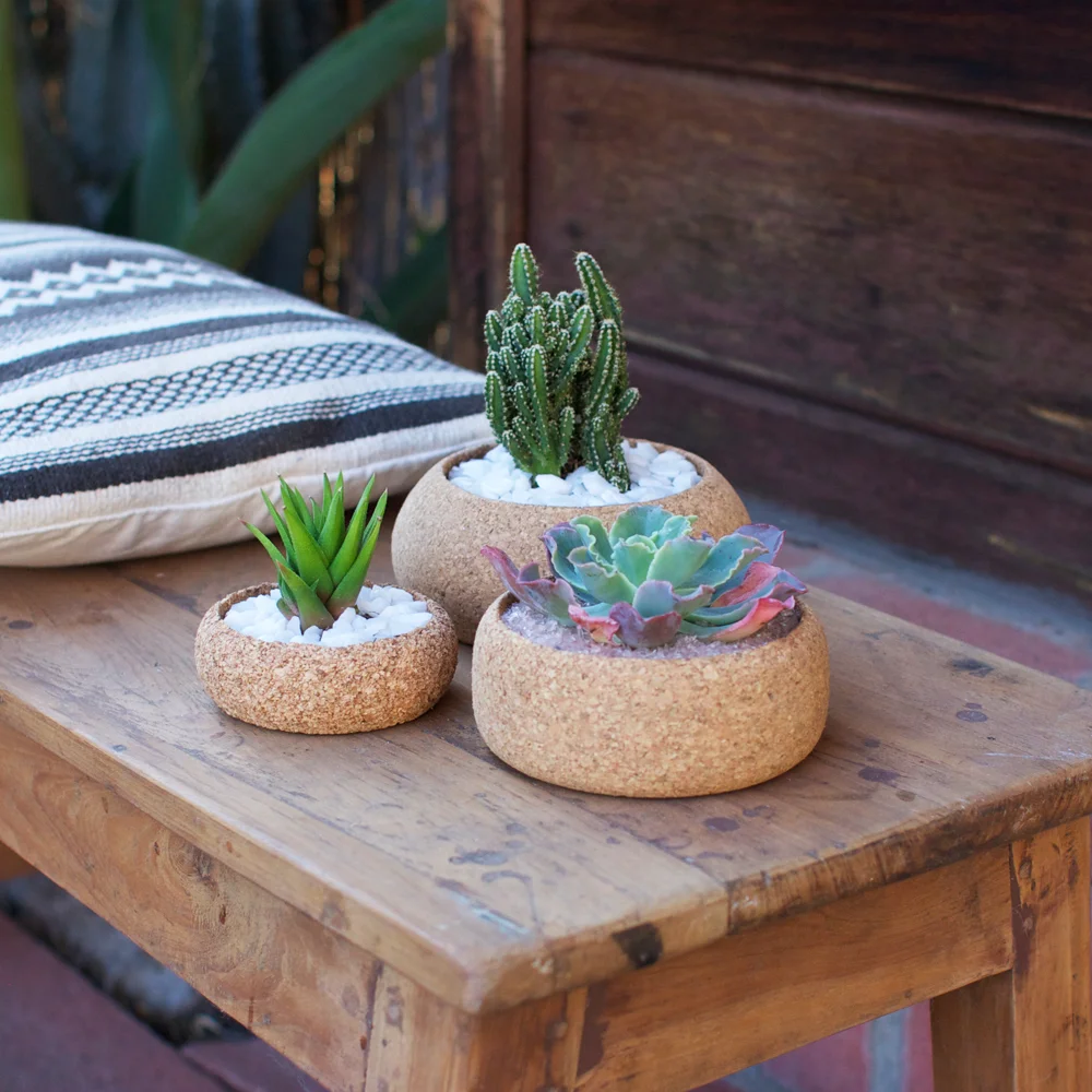Cork Planters in every size!
