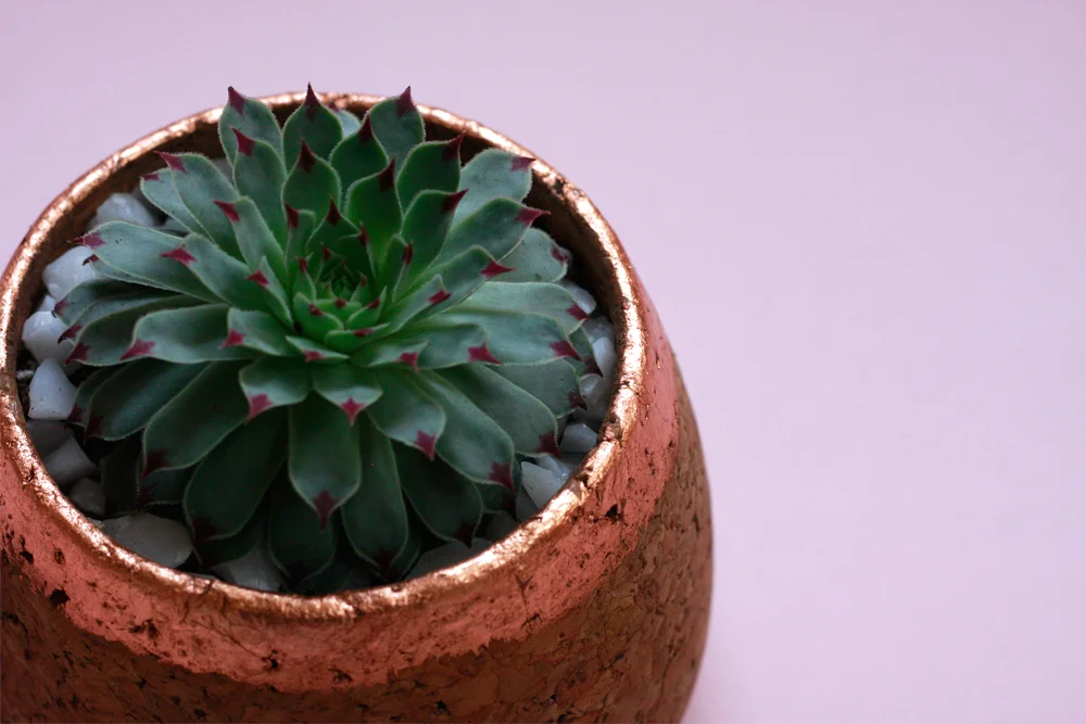 Shop Pink: Copper Cork Planter, Sm $60