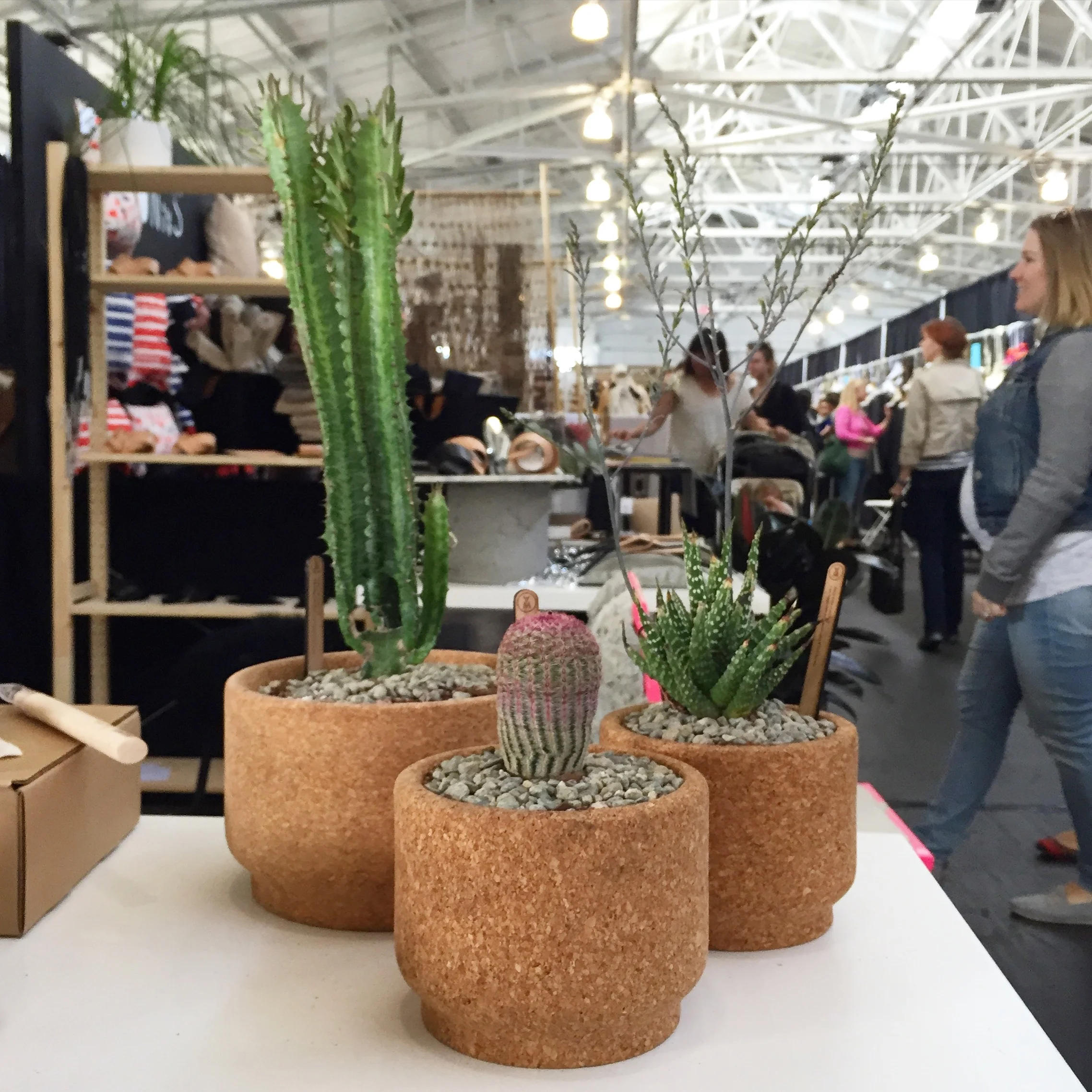 New Modern Cork Planter Shapes! *It will be in the shop soon!