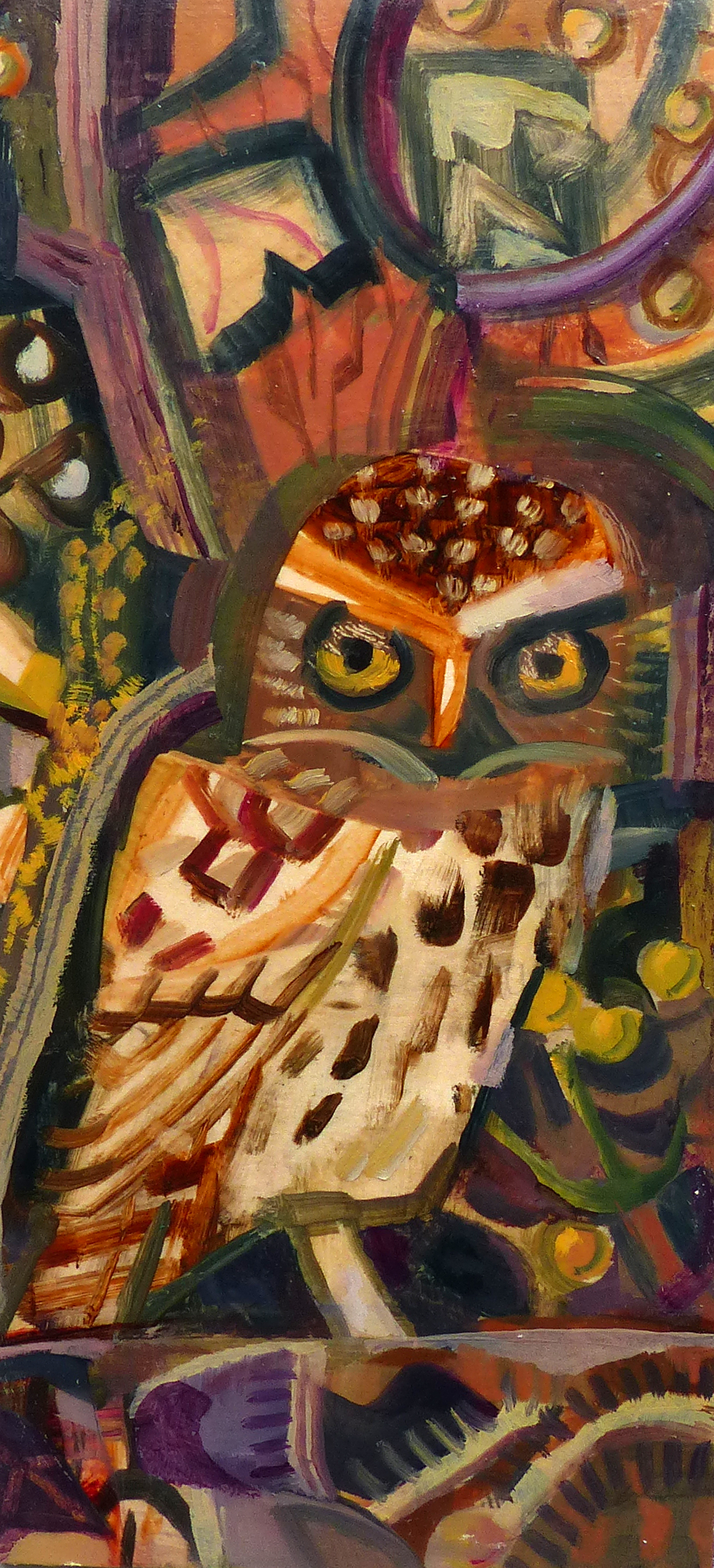   Little Owl, Spixworth.   Oil &nbsp;Sold  