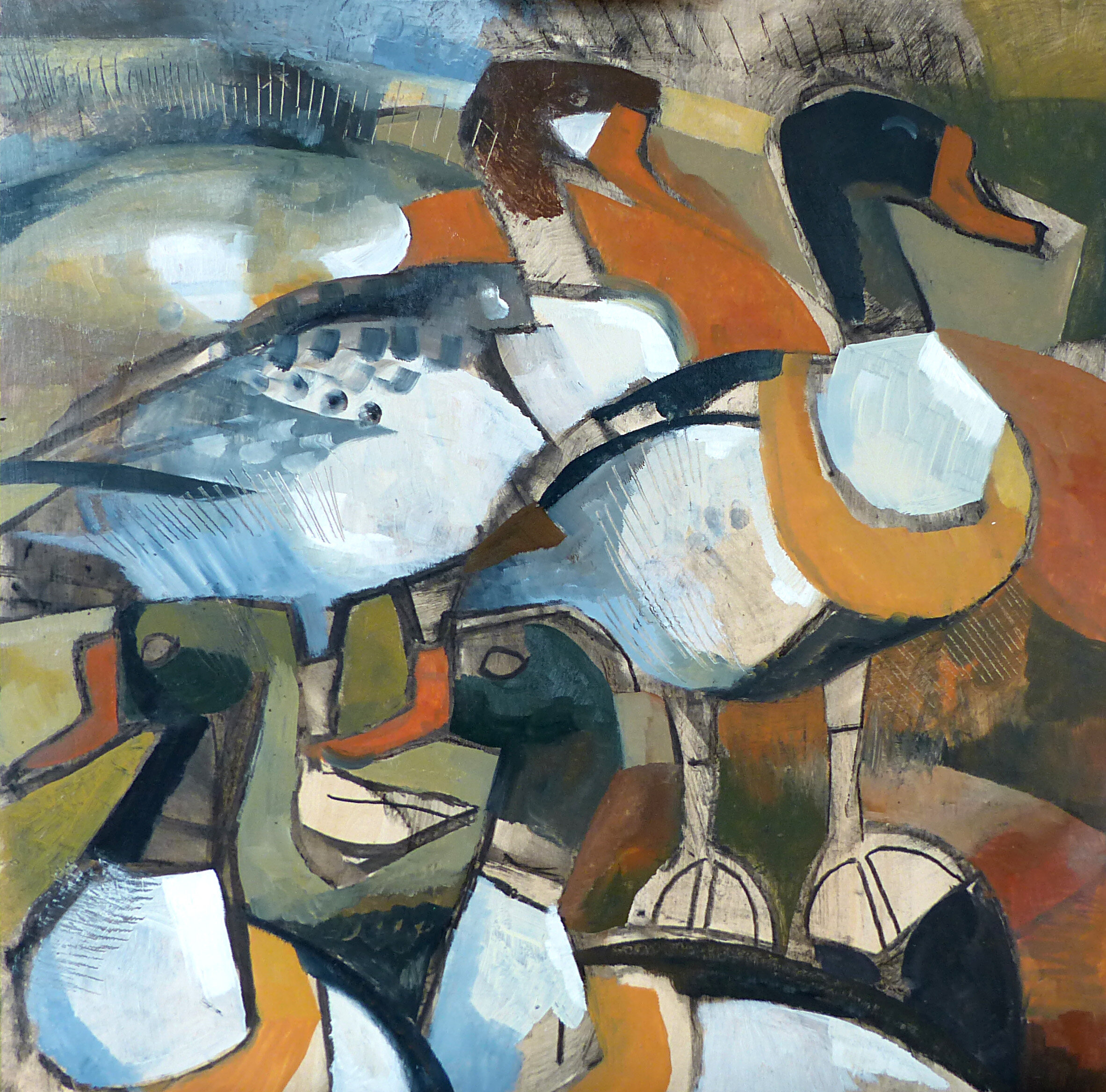 Shelduck Dunes