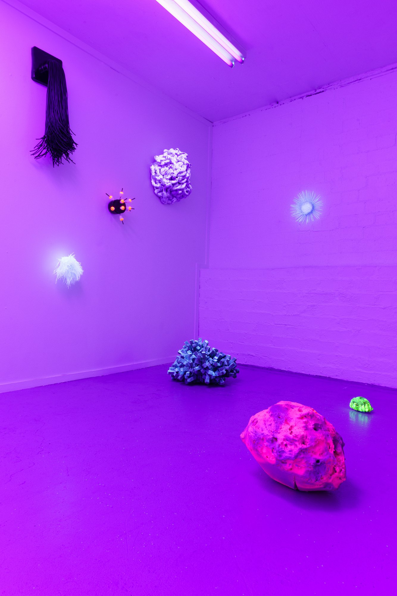 Kathryn Cowen, #otherworlds2, 2021, installation view. image credit: docqment photography