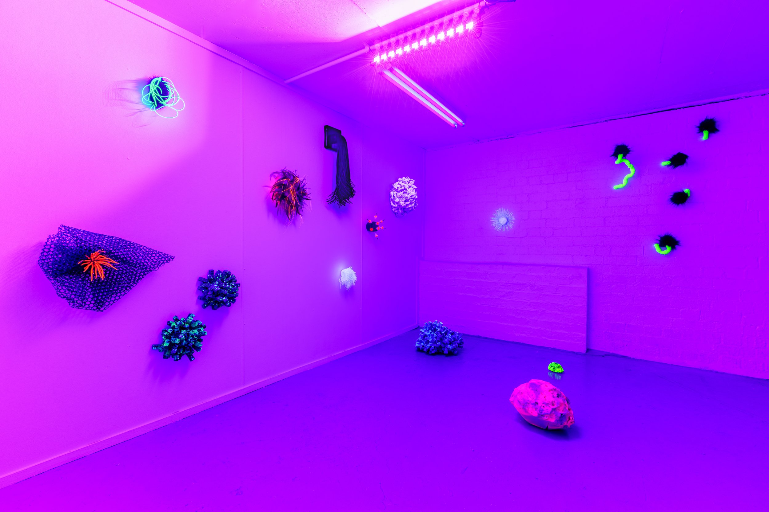 Kathryn Cowen, #otherworlds2, 2021, installation view. image credit: docqment photography