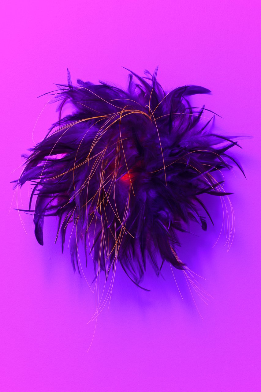 Kathryn Cowen, Artificial Life XI, 2021, rooster feathers, fishing line, pillbox hat base, MDF, paint, 50 x 45 x 20cm. image credit: docqment photography