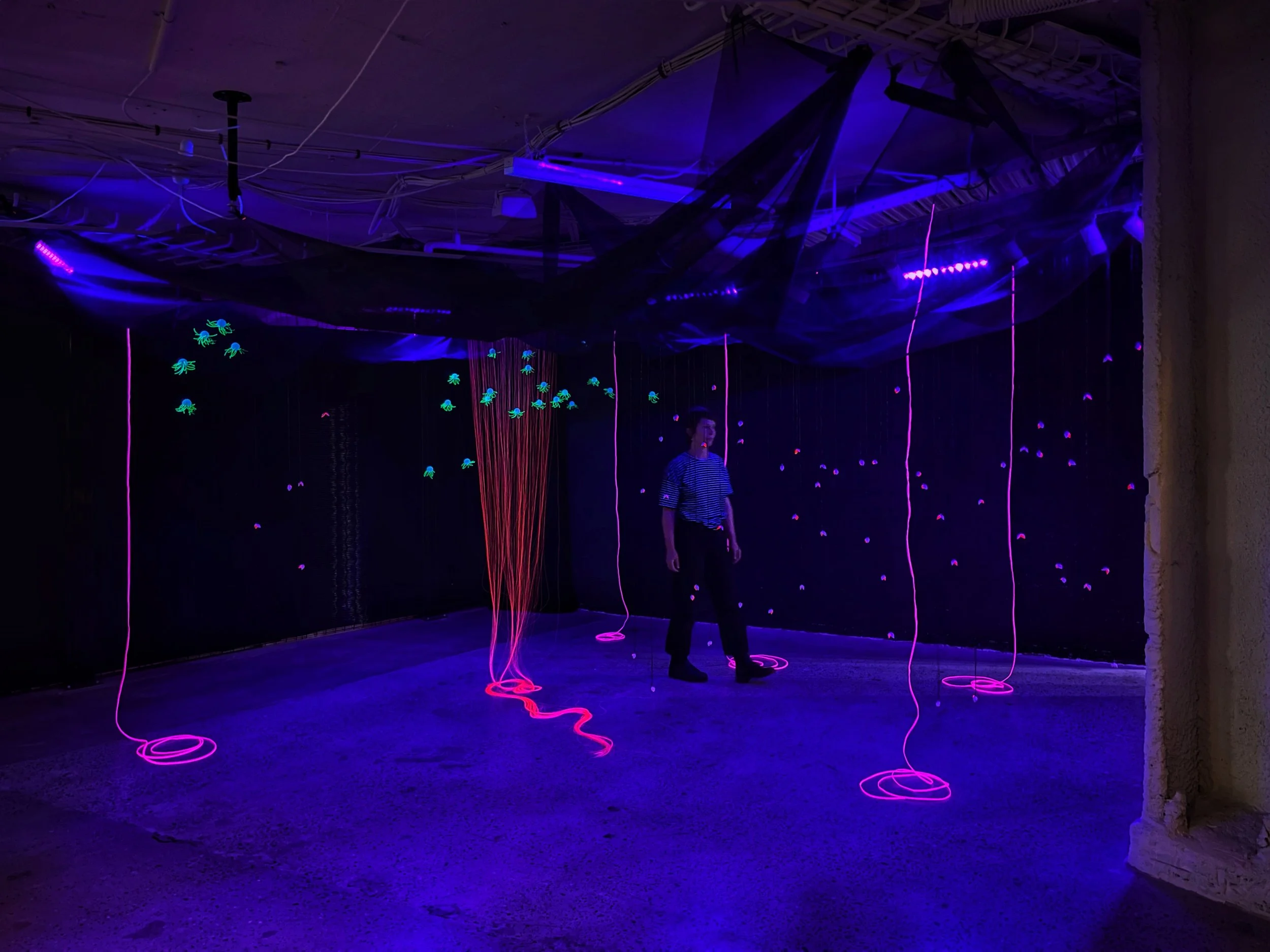 Kathryn Cowen and Gareth Jenkins, Luminous Nature, 2023, Michael Reid Art Bar