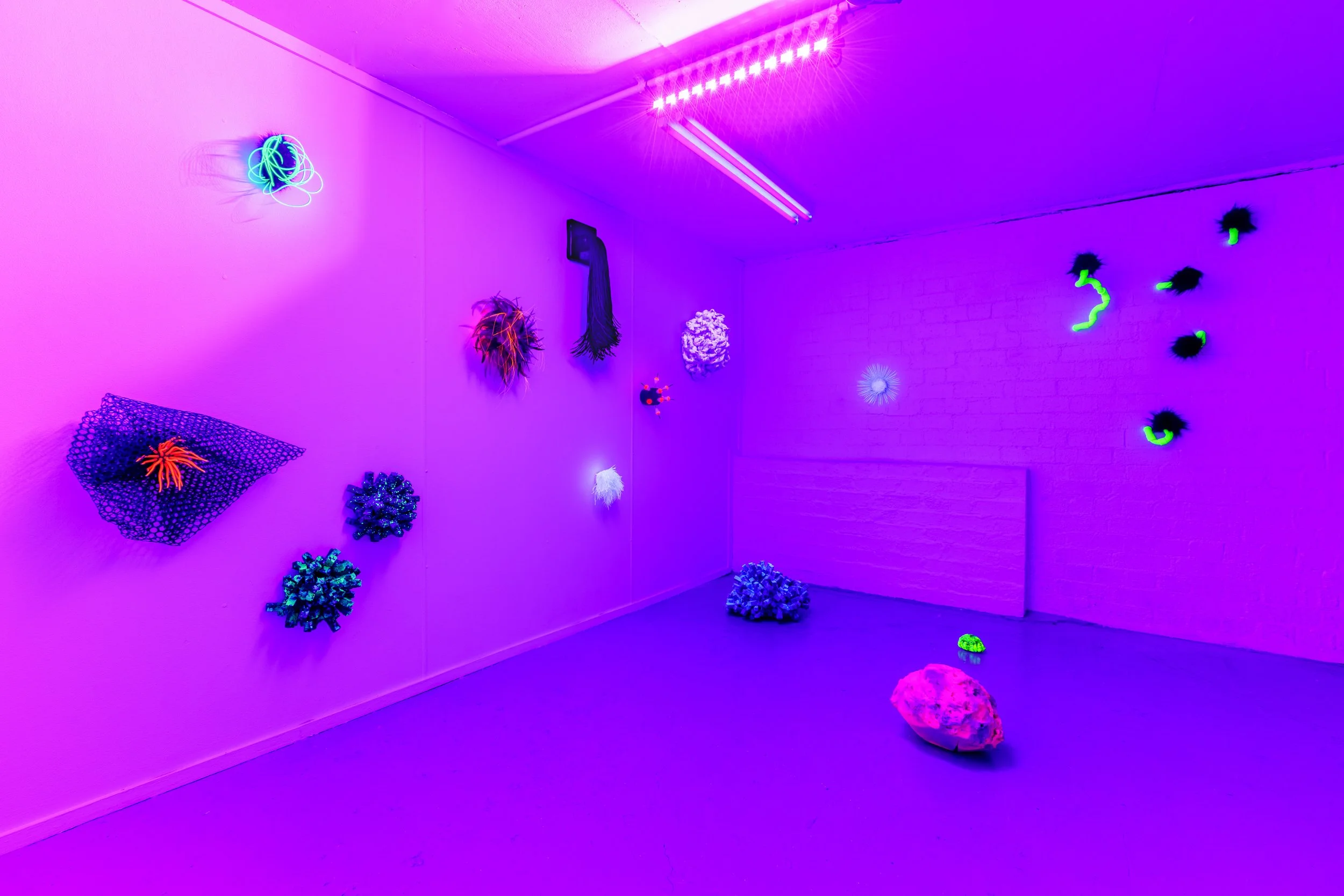 Kathryn Cowen in collaboration with Gareth Jenkins, #otherworlds2, November 5-21, 2021, AIRspace Projects