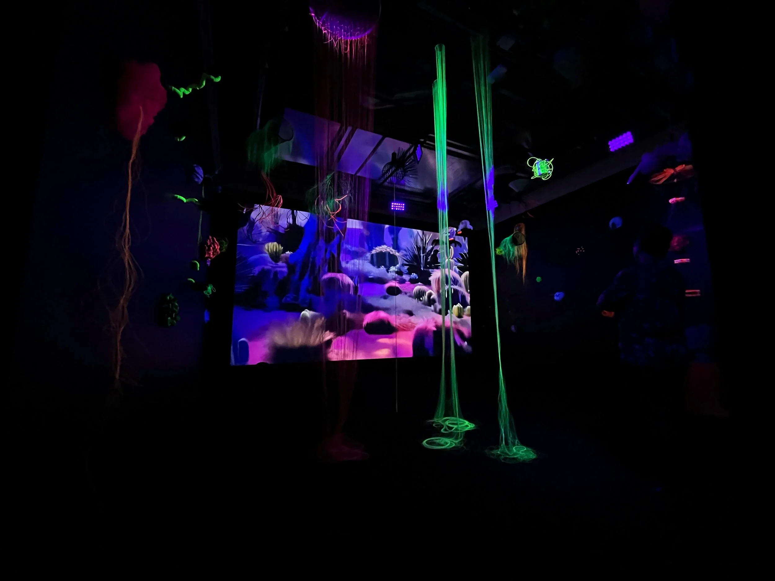 Serendipia, Saturday 24 Aug – Sunday 10 Nov, 2024, Yarrila Arts and Museum