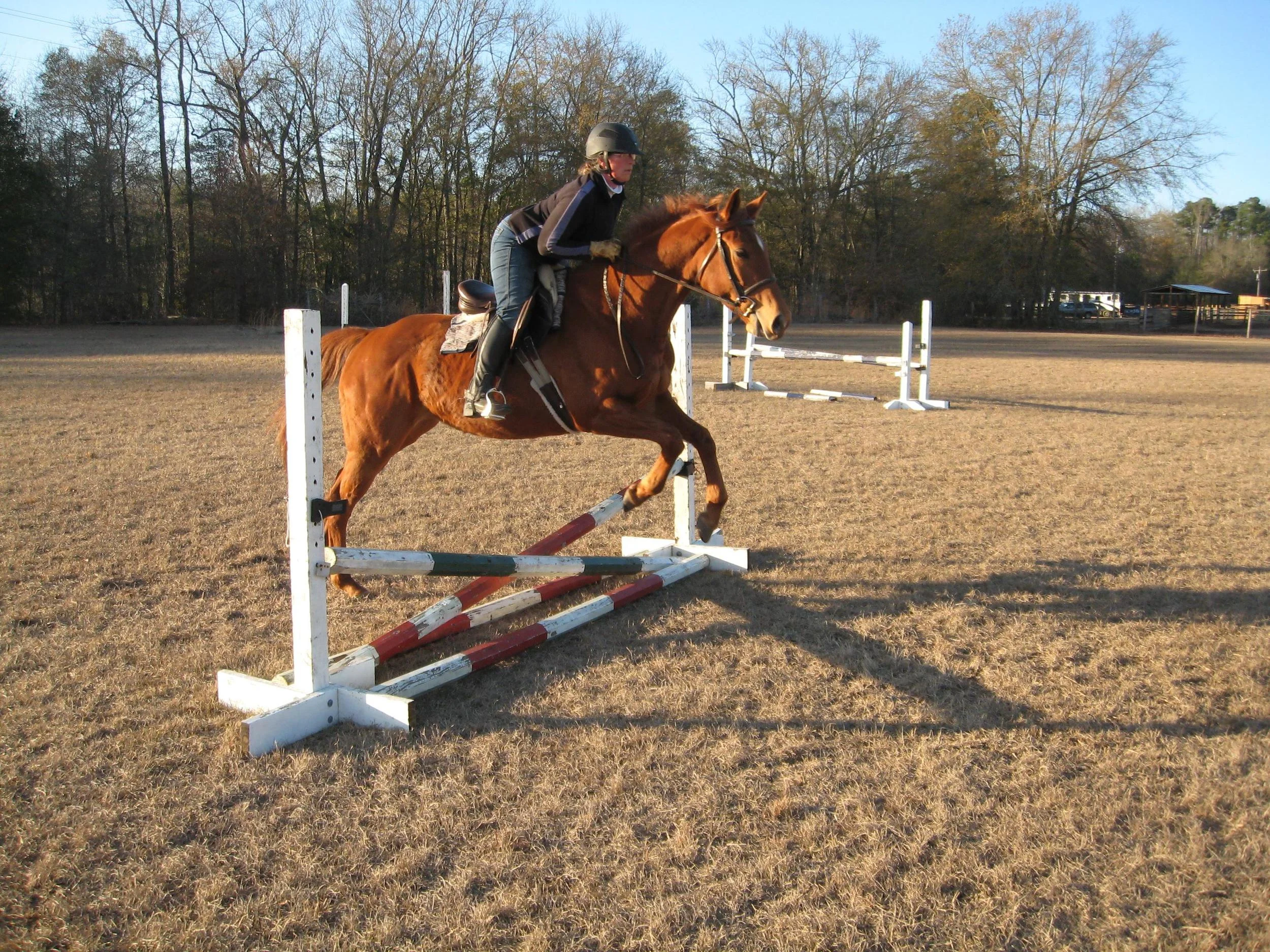 sheila first jump picture.jpg