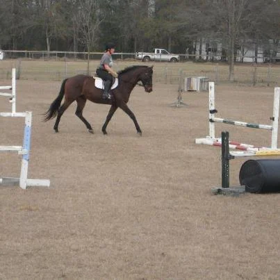 SpanishTroting.jpg