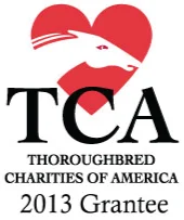 TCA.LogoAkindaleSponsorFooter.jpg