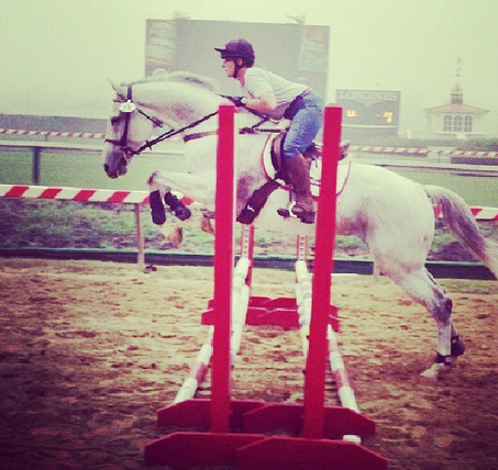Stud Muffin at the Retired Racehorse Training Project exposition at Pimlico with his trainer Heather Carlson, October 2013.