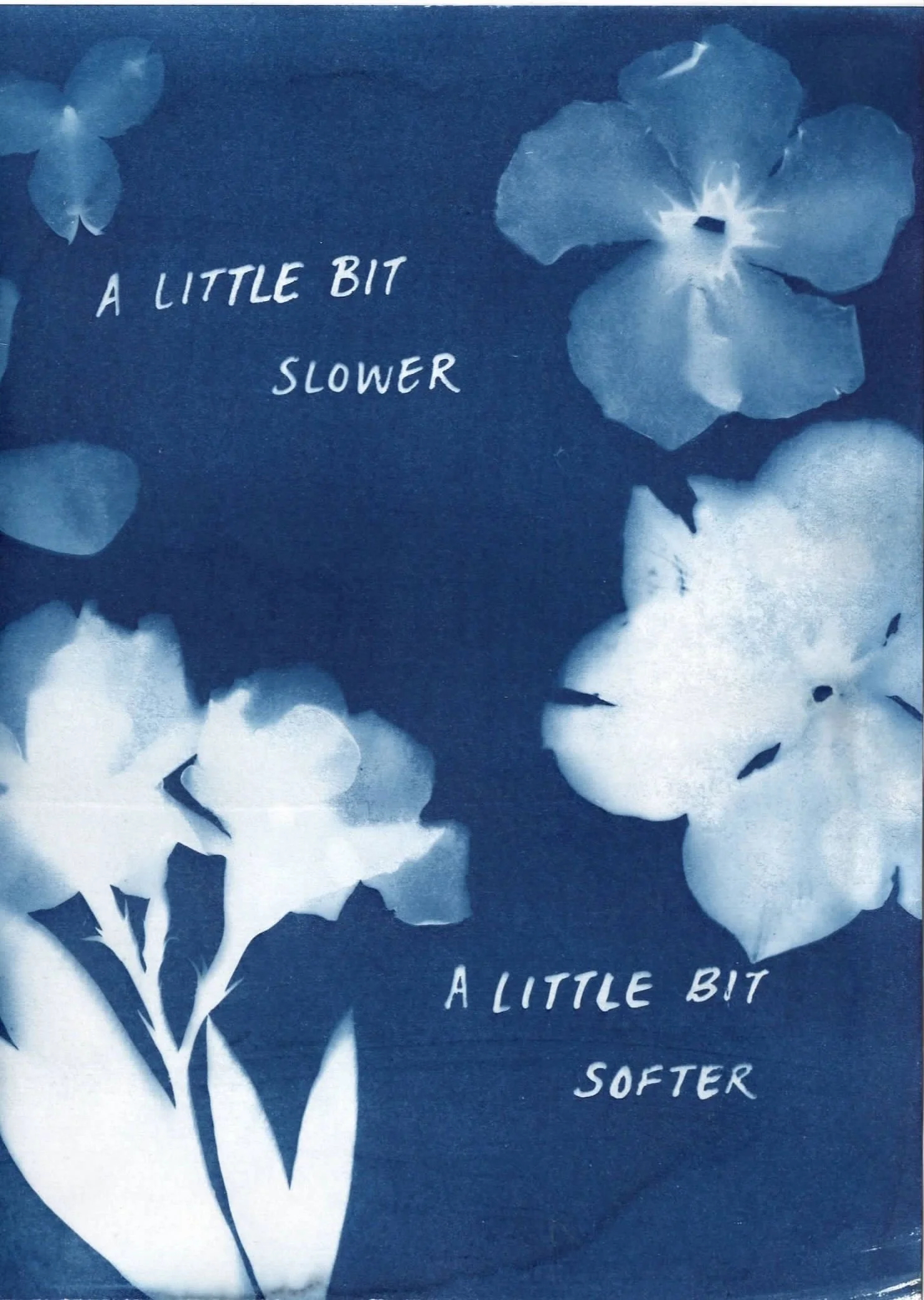 Cyanotypescans25.JPEG