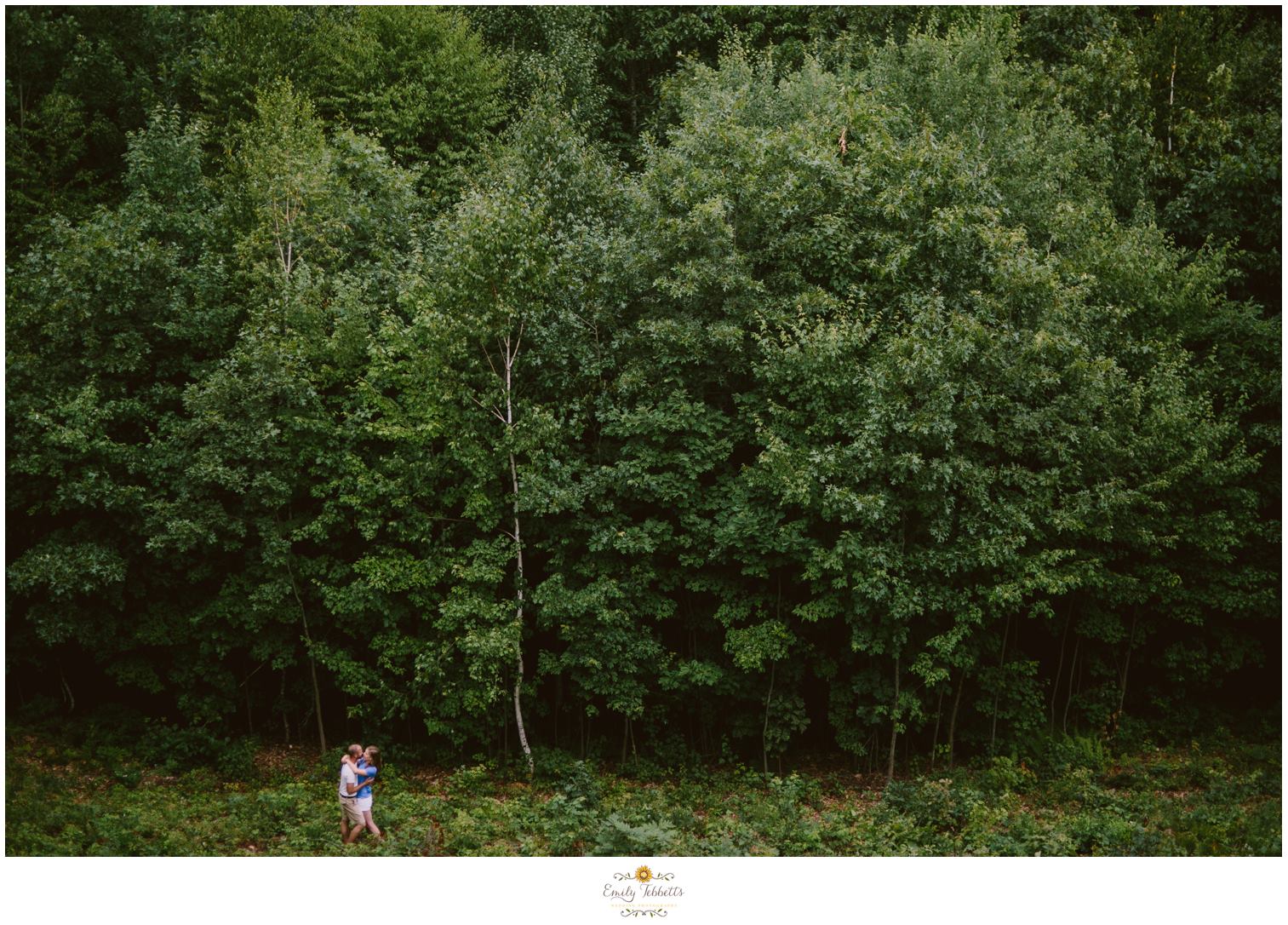 Emily Tebbetts Photography Engagement Session || Mount Tom, Holyoke, MA 1.jpg