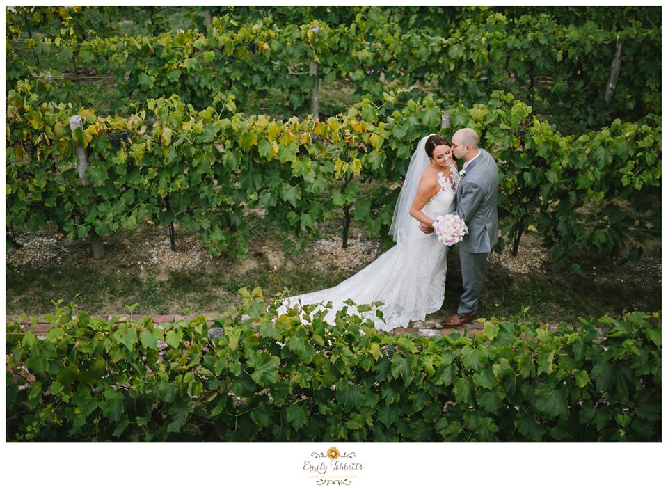 Emily Tebbetts Photography Wedding || Zorvino Vineyard, Sandown, NH Sneak Peeks 1.jpg