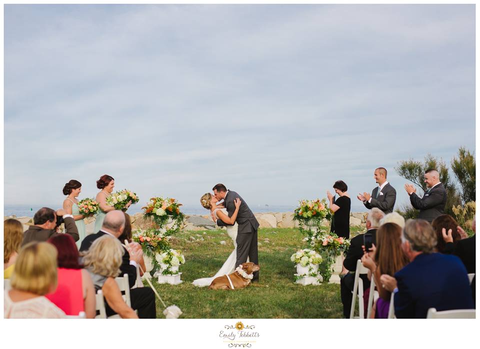 Scituate Intimate Backyard Beach Wedding with Lilly The Hero Pit Bull in Massachusetts - Emily Tebbetts Photography 1.jpg