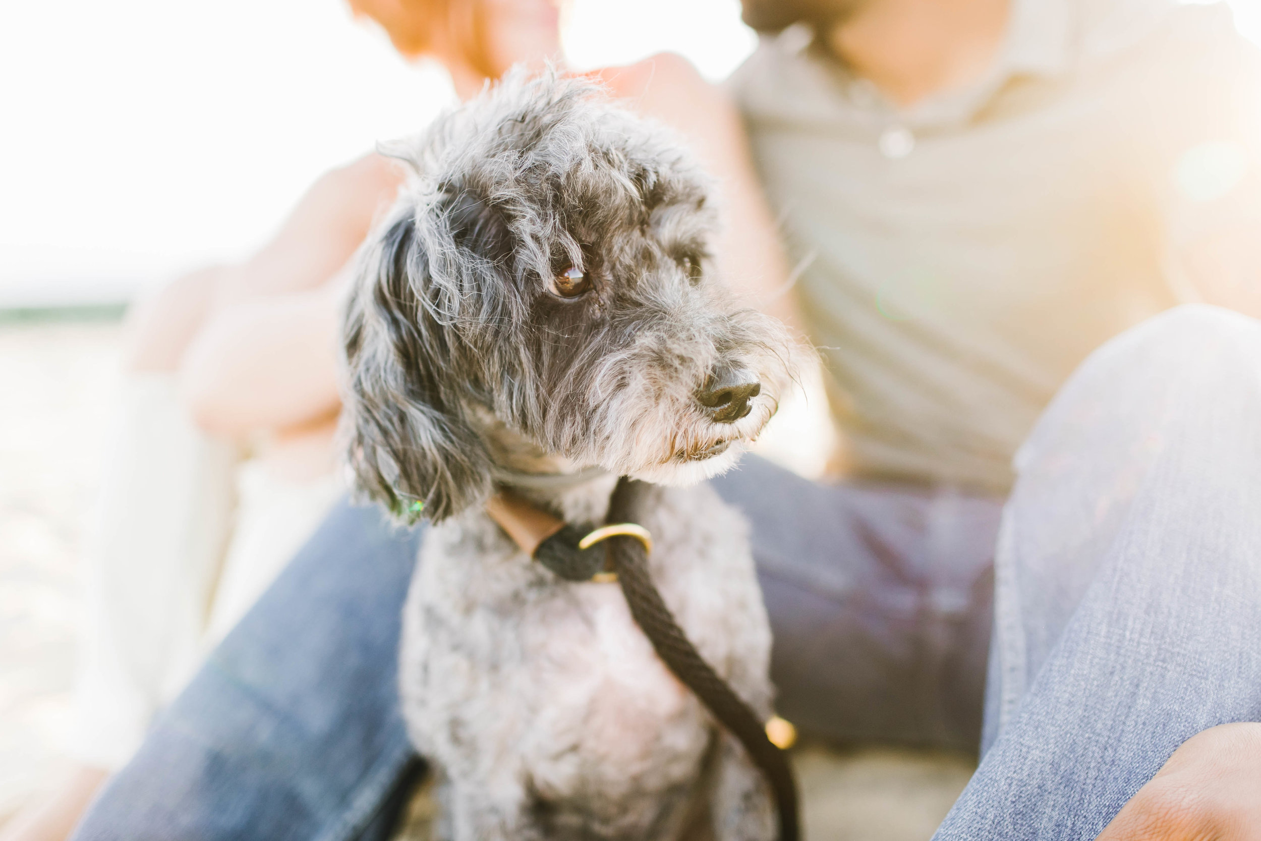 South End Boston Beach Shore Ocean Engagement Session - Emily Tebbetts Photography-52.jpg