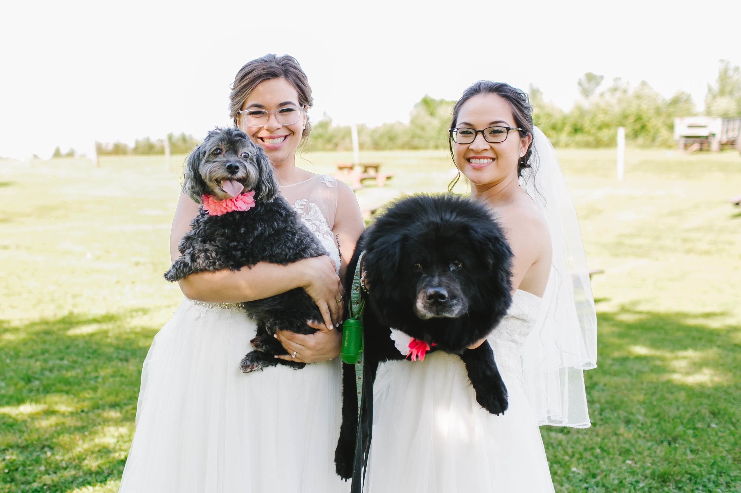 Hyland Orchard and Brewery Wedding with dogs - Emily Tebbetts Photography-17.jpg