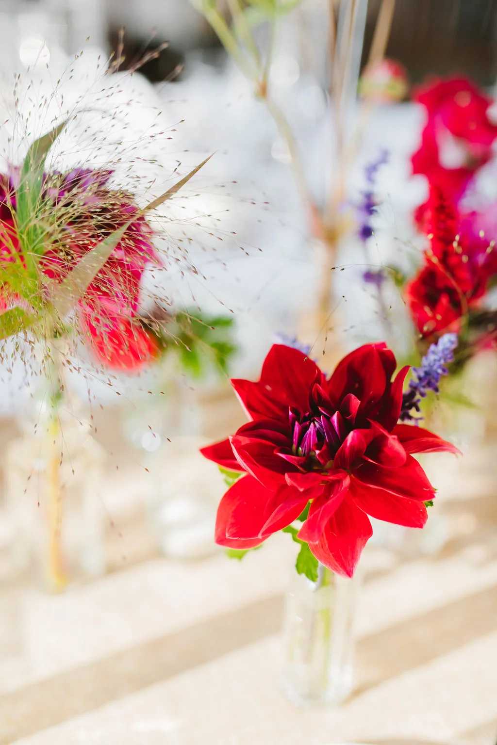 Erin+StevenWedding-EmilyTebbettsPhotography--216.jpg