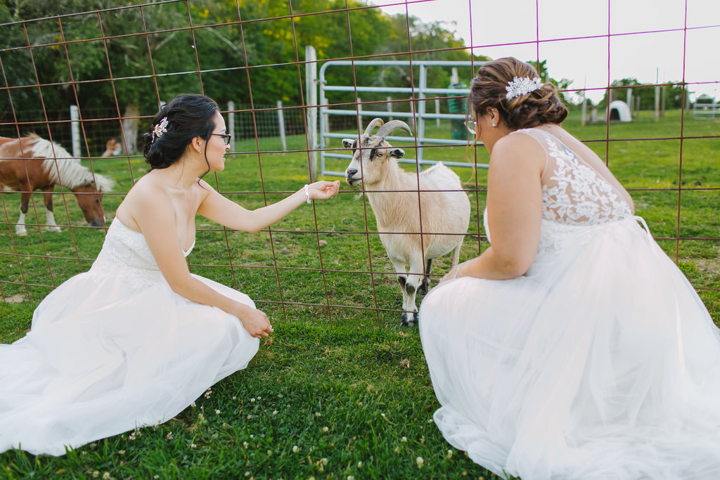 Rikki+ThaoWedding-Hillary-EmilyTebbettsPhotography--484.jpg