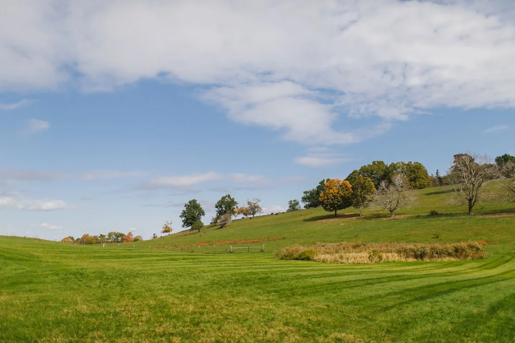 Tricia+JeffWedding-Hillary-EmilyTebbettsPhotography--243.jpg