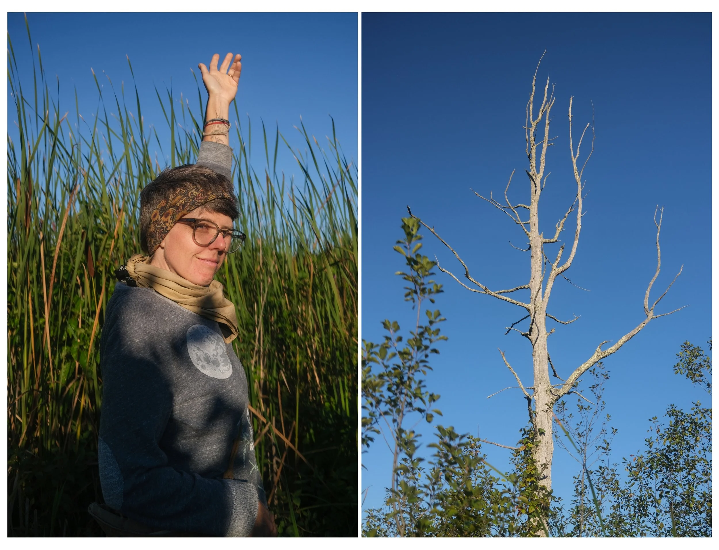 emily tebbetts photography - maggie cape cod ipswich river wildlife sanctuary photo adventure 4.jpg