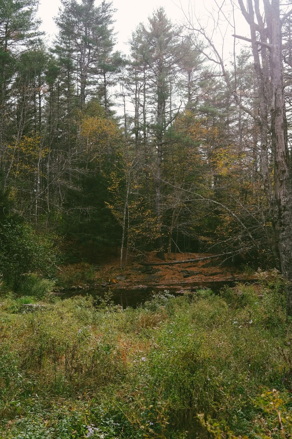 DSCF8208.jpg