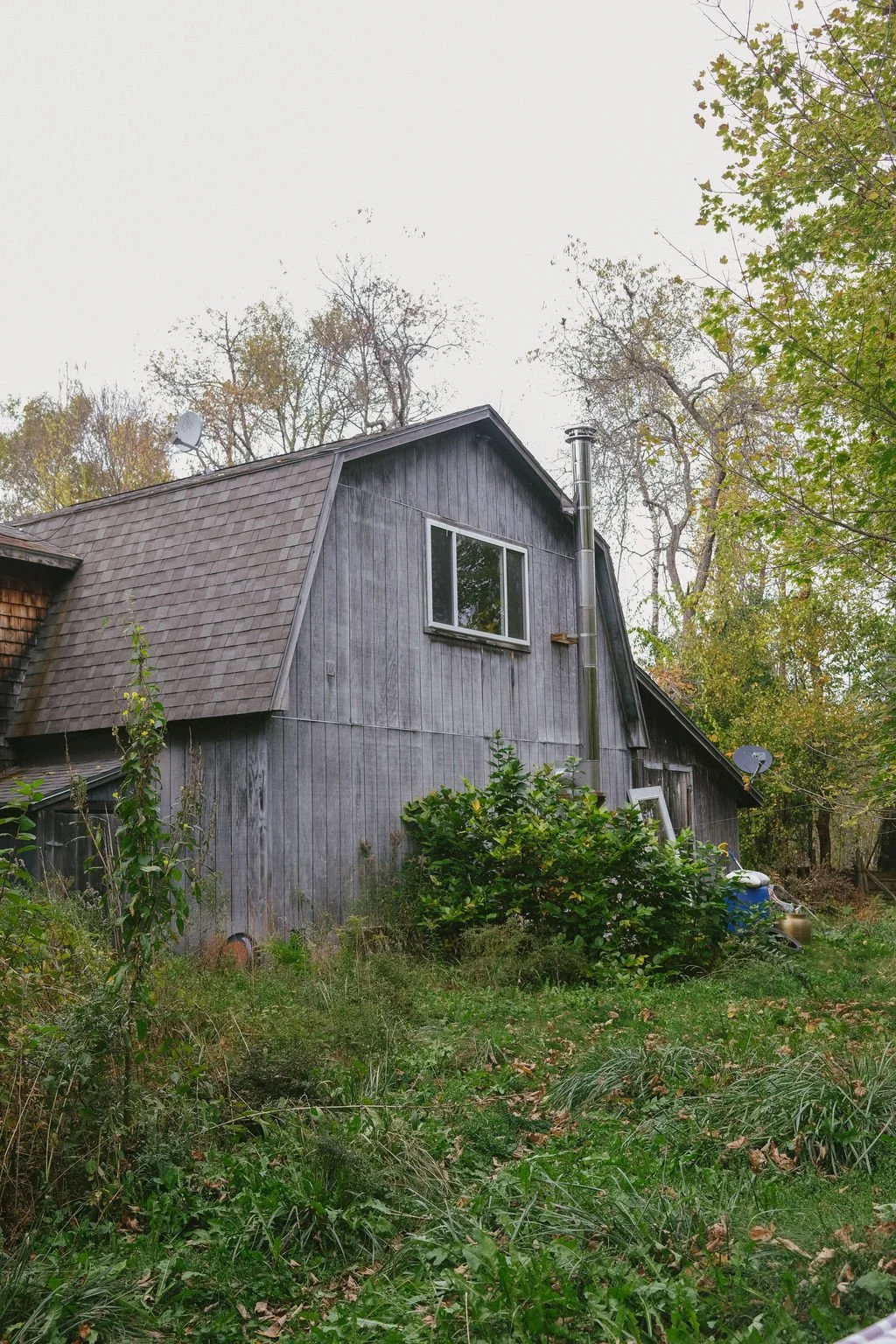 DSCF8380.jpg