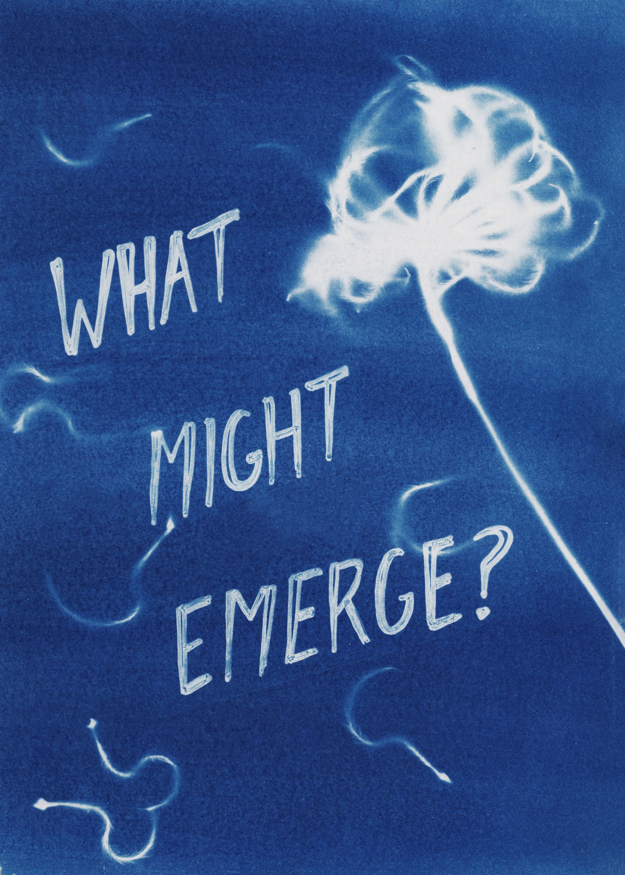 finalforprint-WhatMightEmerge?-Alternatecyanotypescanned7-20-241.jpg