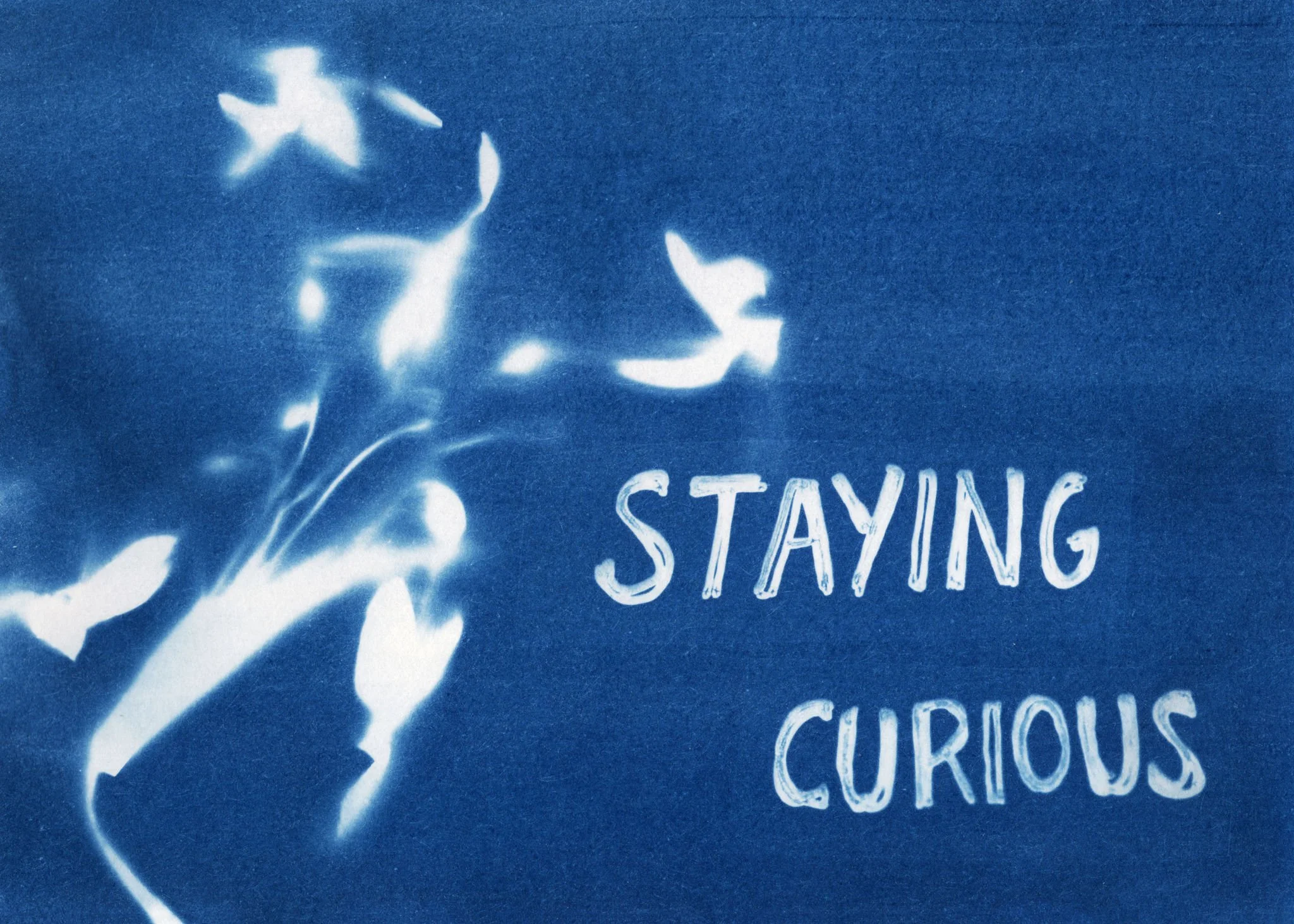 EFP-StayingCurious-ProCyanotypeScan.jpg