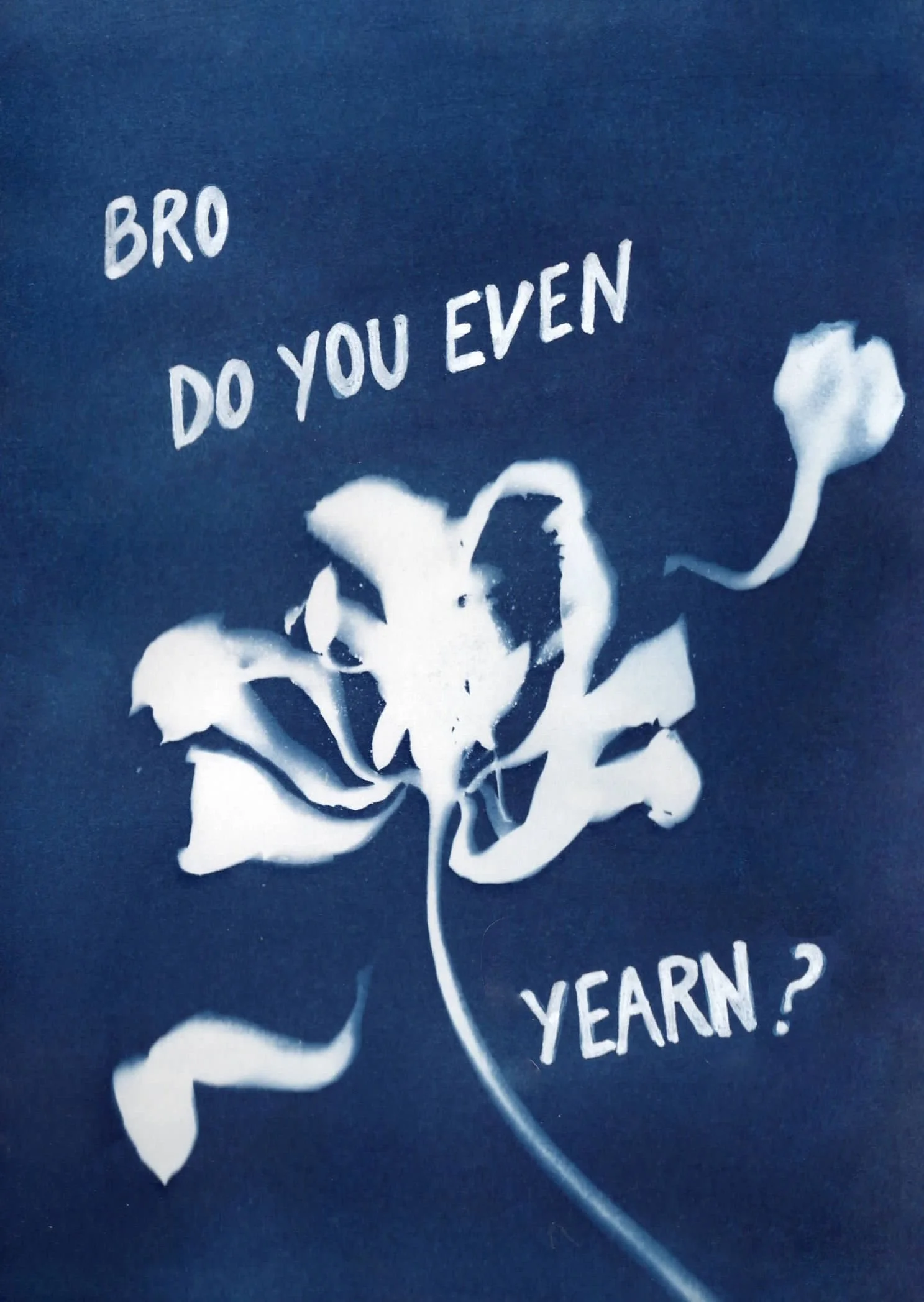 BroDoYouEvenYearnCyanotypeScan.jpg