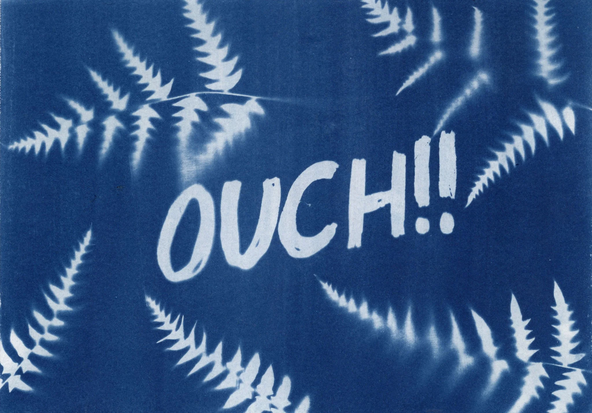 CyanotypescansforprintNov24_-6.JPG