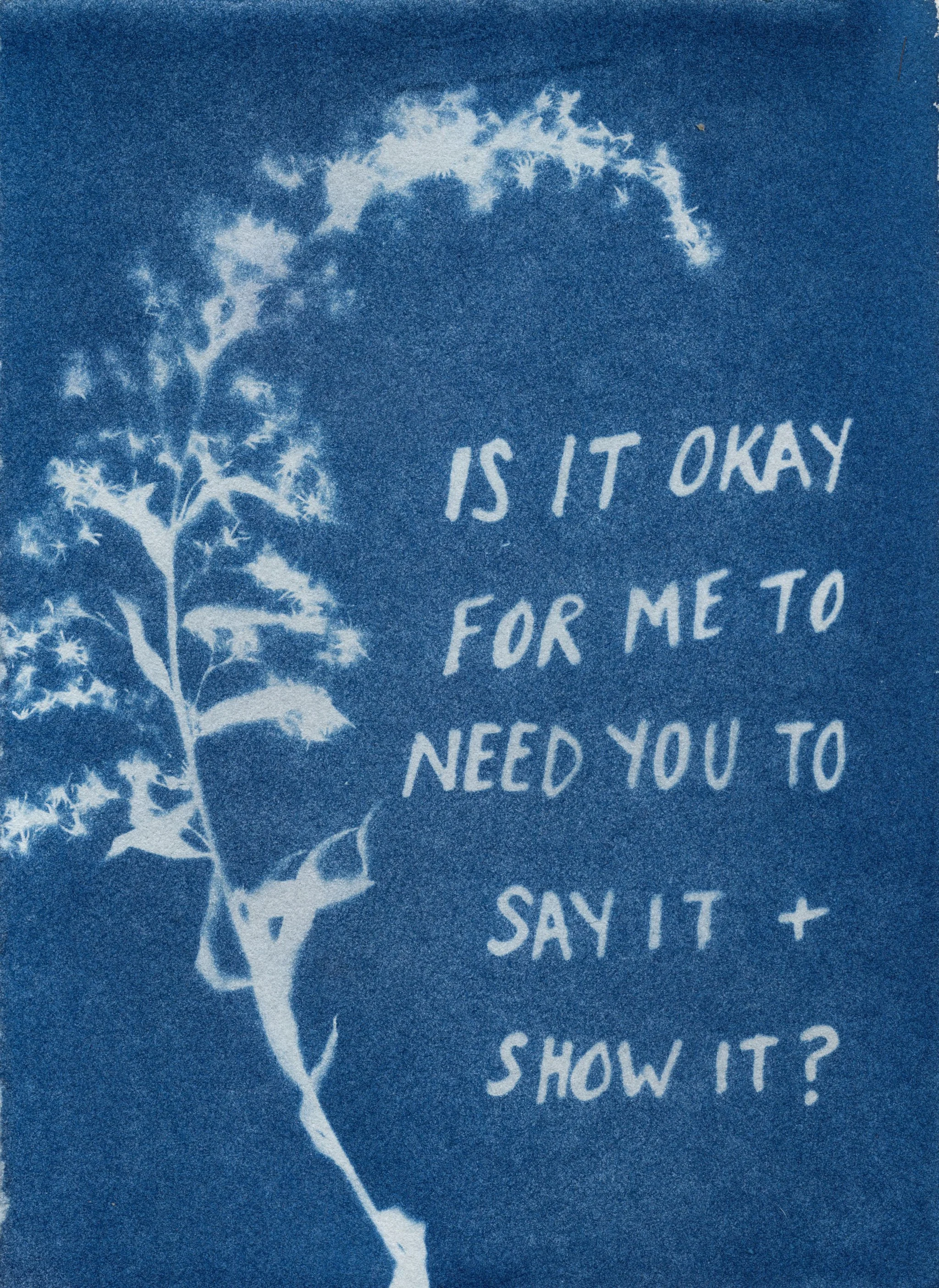 CyanotypescansforprintNov24_-16.JPG