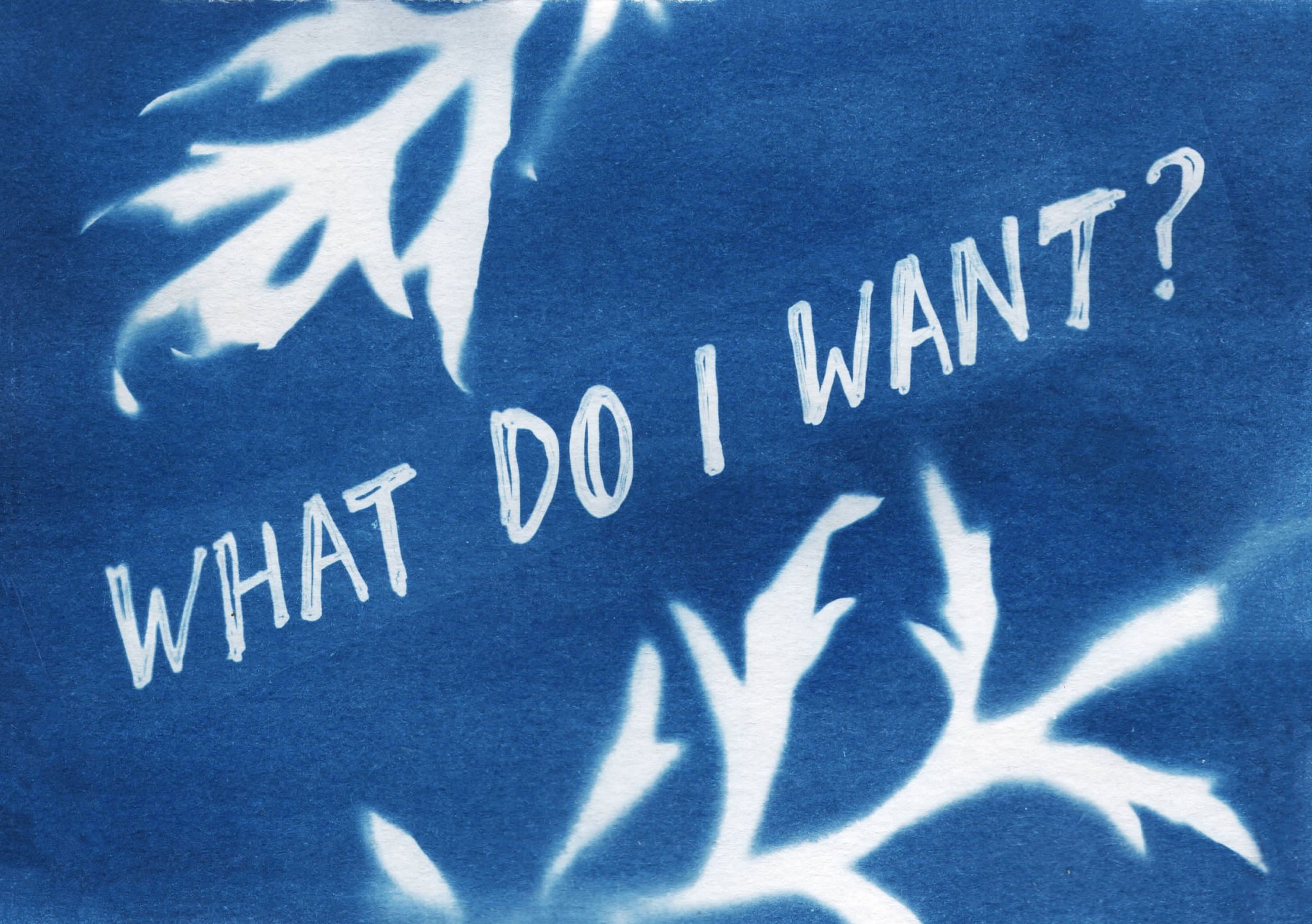 EFP-dec-June2024Cyanotype2.jpg