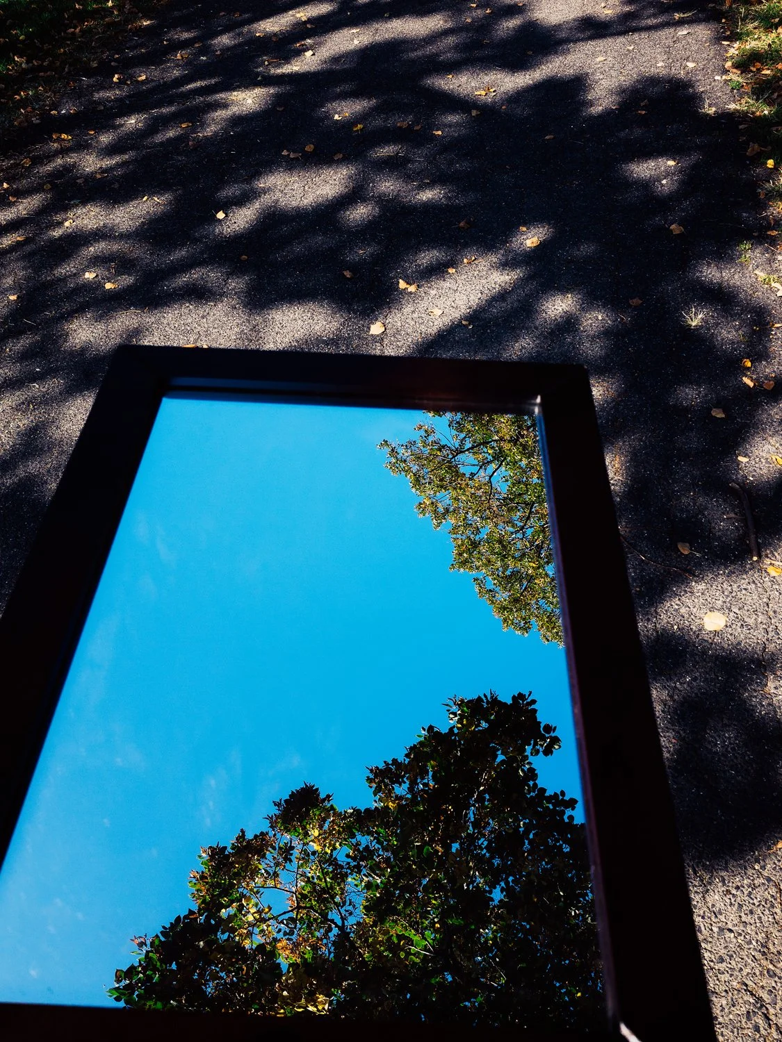 _R001377-1.jpg
