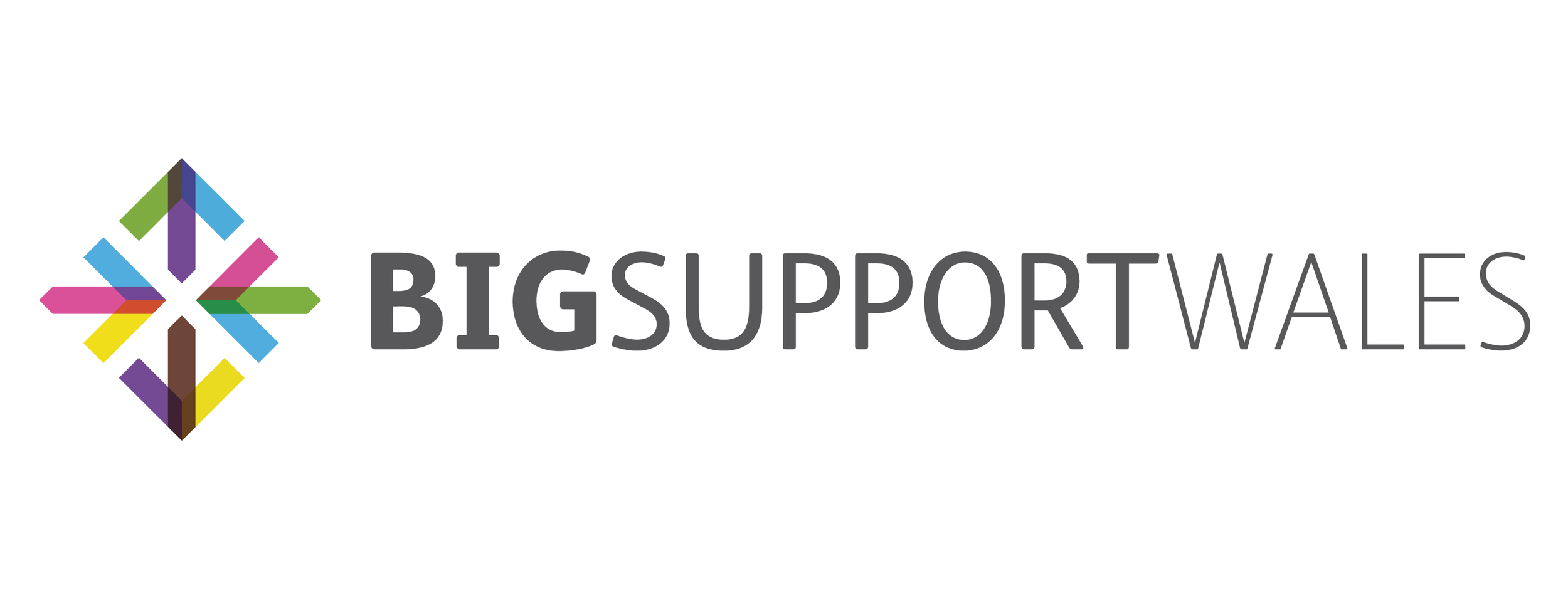 bigSupportLS-01.png